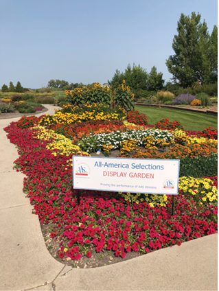 线上赌博app Photo