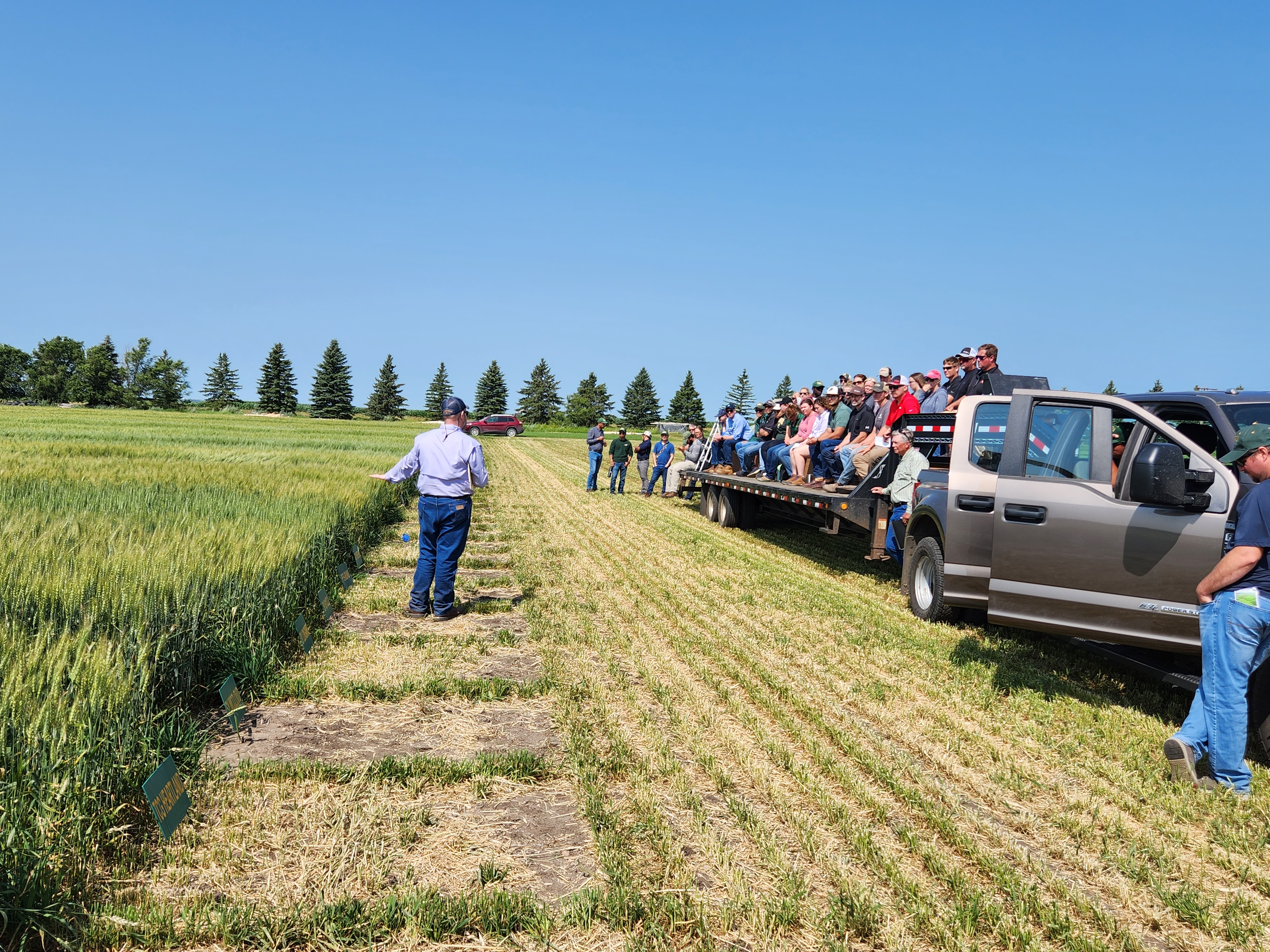 Participants at a Carrington REC field day sit on trailer benches, as an 线上赌博app agriculture expert gestures at a research plot while speaking.