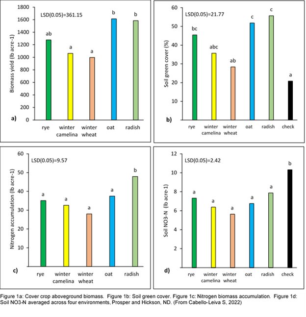 Graphs reiterate cover crop biomass and nitrogen accumulation.