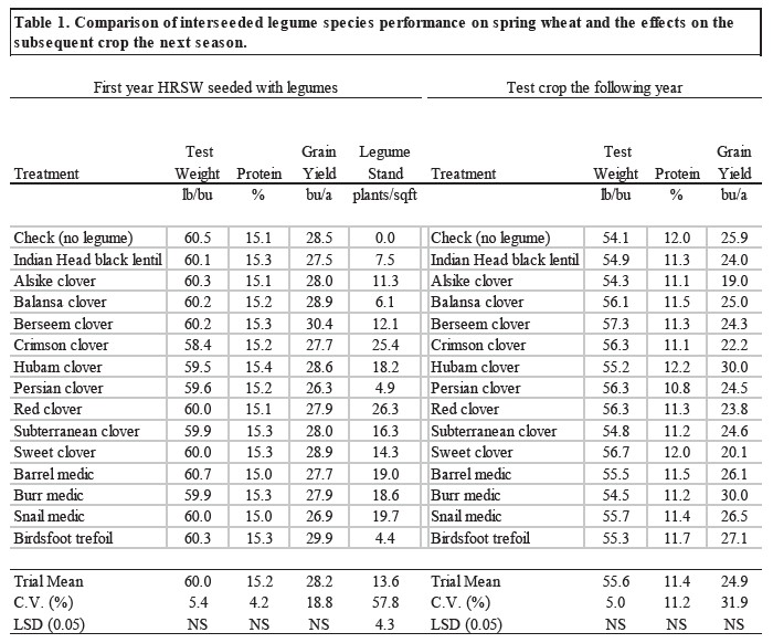 Table showing comparison of interseeded legume species performance on srping wheat