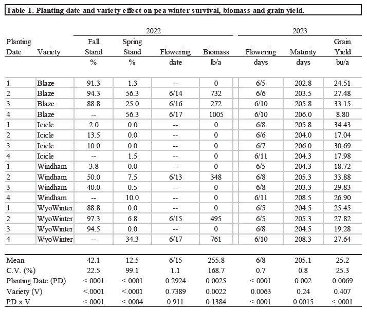 Table showing planting date and variety effect on winter pea.