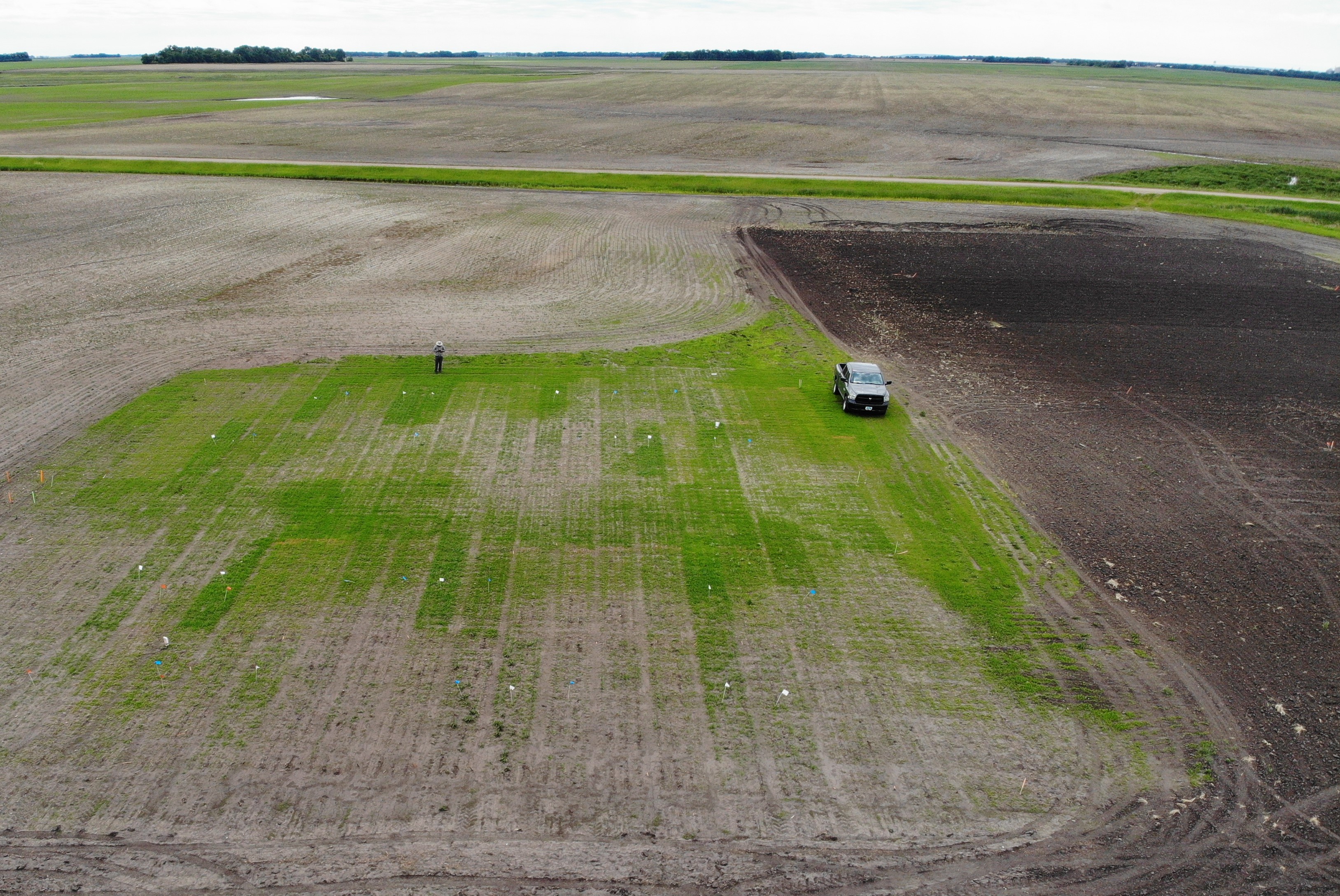 An aerial view of the test plot shows a gradient of vegetative cover to bare ground.