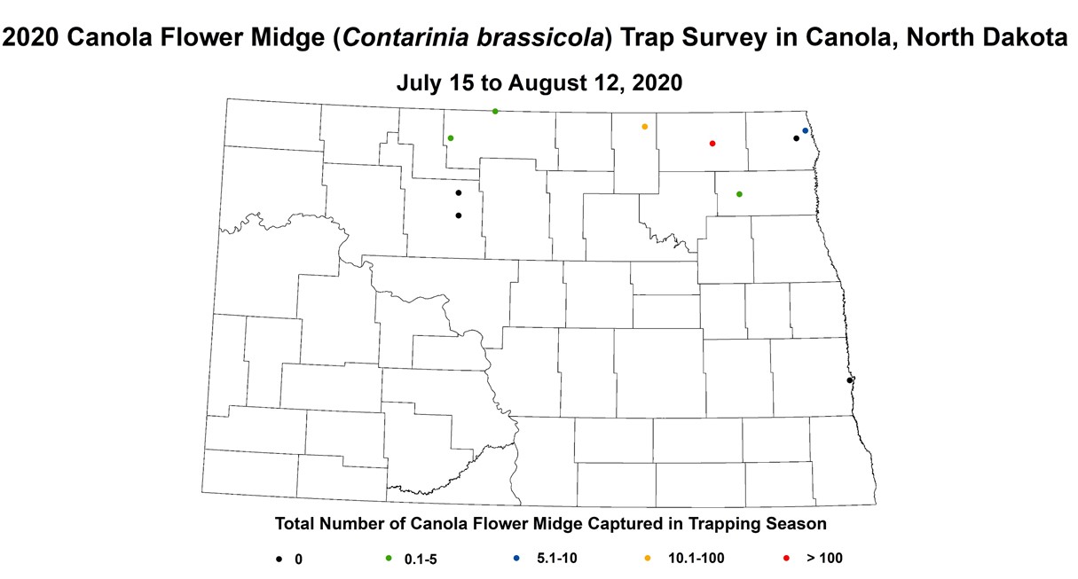 2020 Canola Flower Midge Trap Survey in Canola, North Dakota July 15 to August 12, 2020