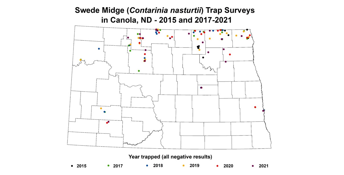 Swede Midge Trap Surveys in Canola, ND - 2015 and 2017-2021