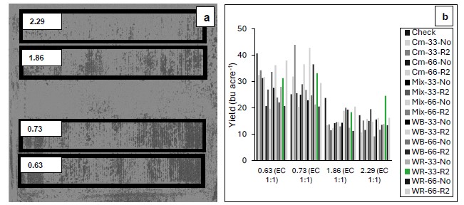 Aerial photo showing soybean green index with average EC and soybean grain yeild across four soil EC levels.