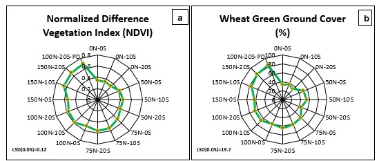 Figures showing NDVI and green ground cover of spring wheat.
