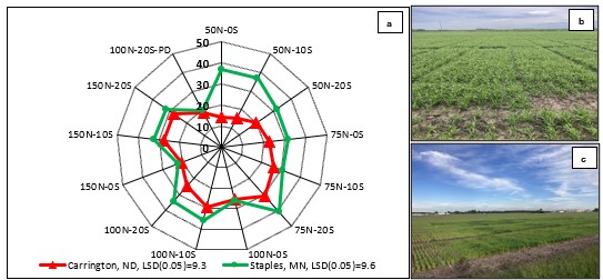 Figure showing wheat nitrogen use efficiency at Carrington, ND, and Staples, MN, and pictures of the field trials.