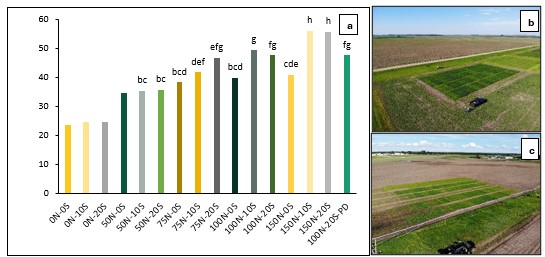 Bar chart showing wheat yeild and aerial pictures showing spring wheat at Feekes 5.