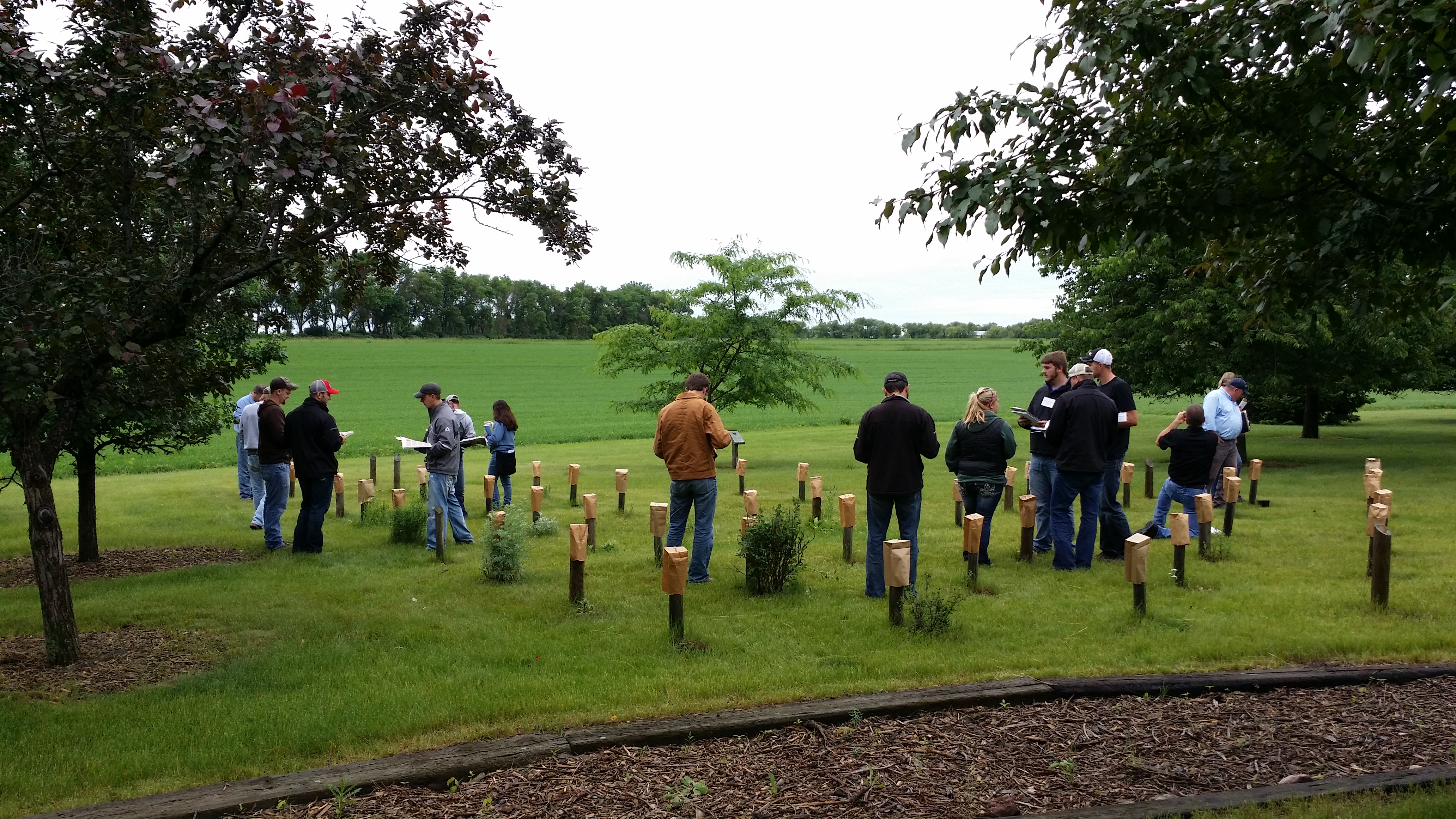 Several people are examining an outdoor living weed exhibit.