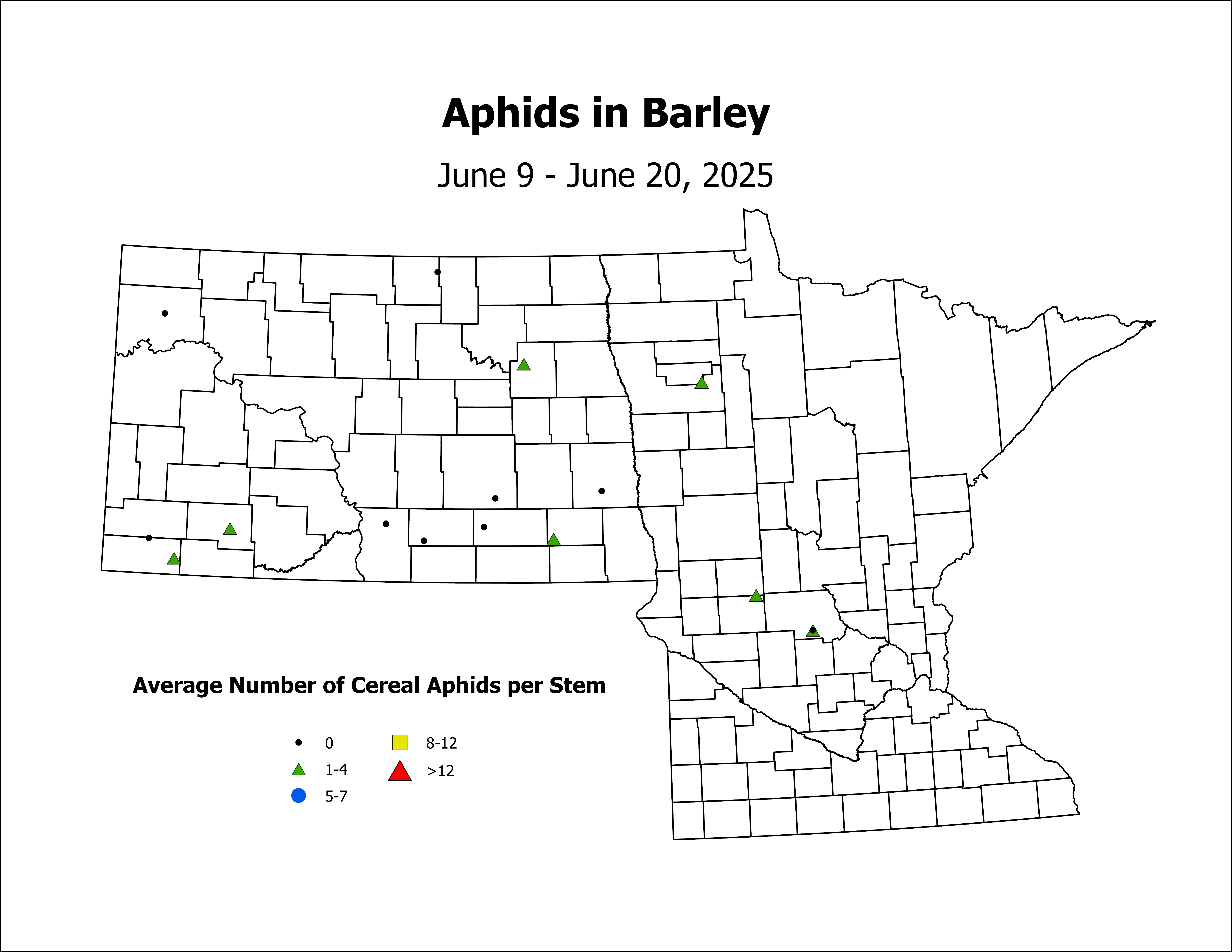 barley_Aph_Stem_2025June9ToJune20