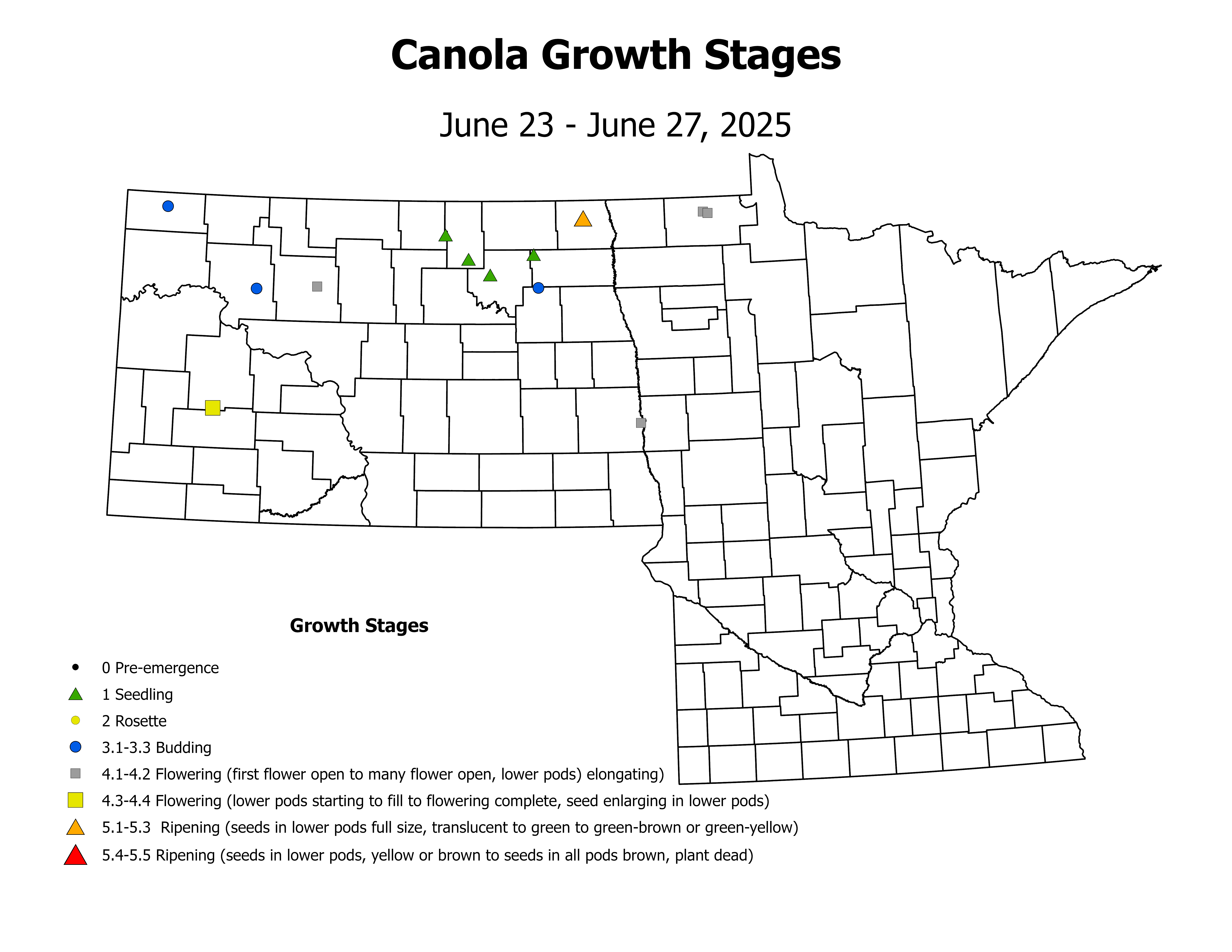 canolaInsectTrap_CropStage_2025June23ToJune27