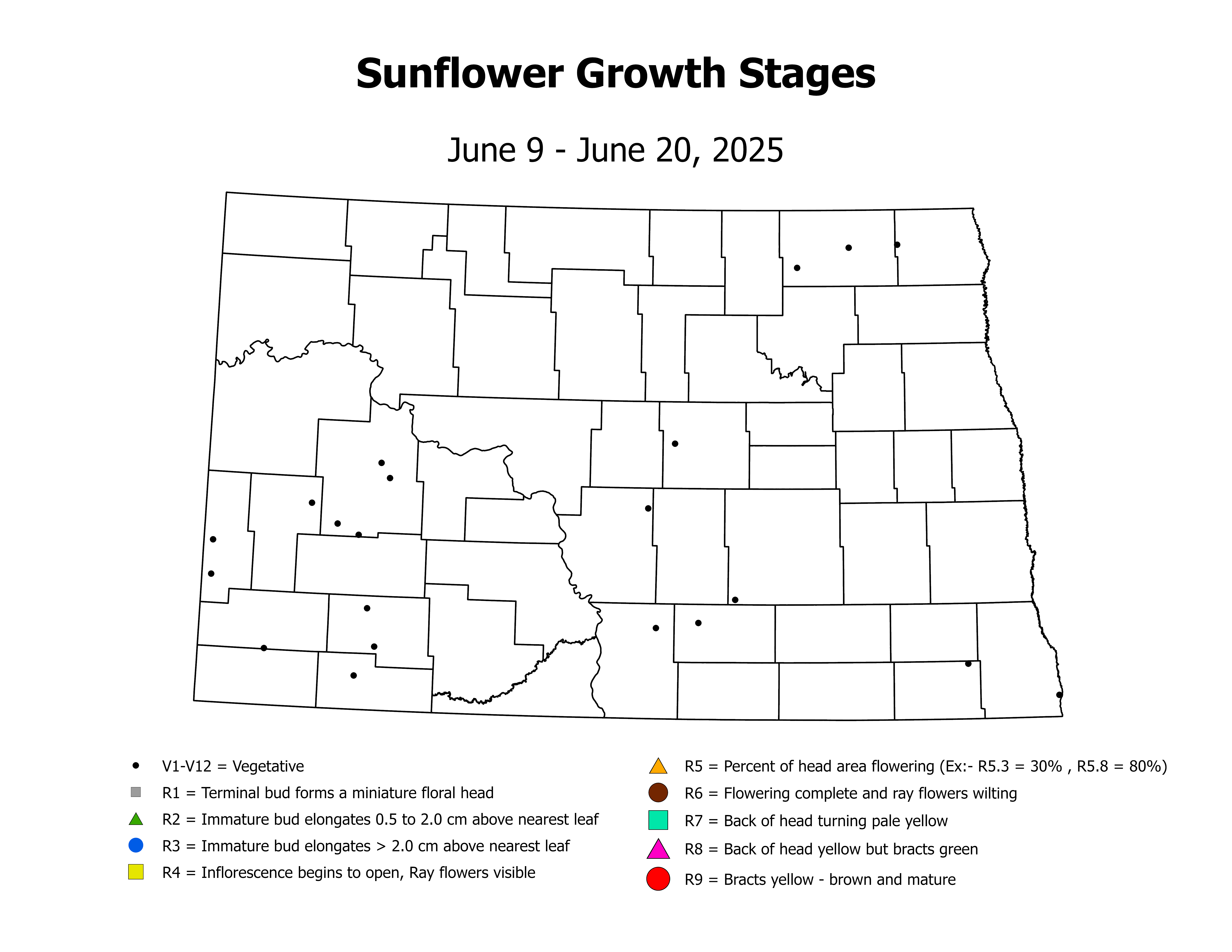 sunflower_CropStage_2025June9ToJune20