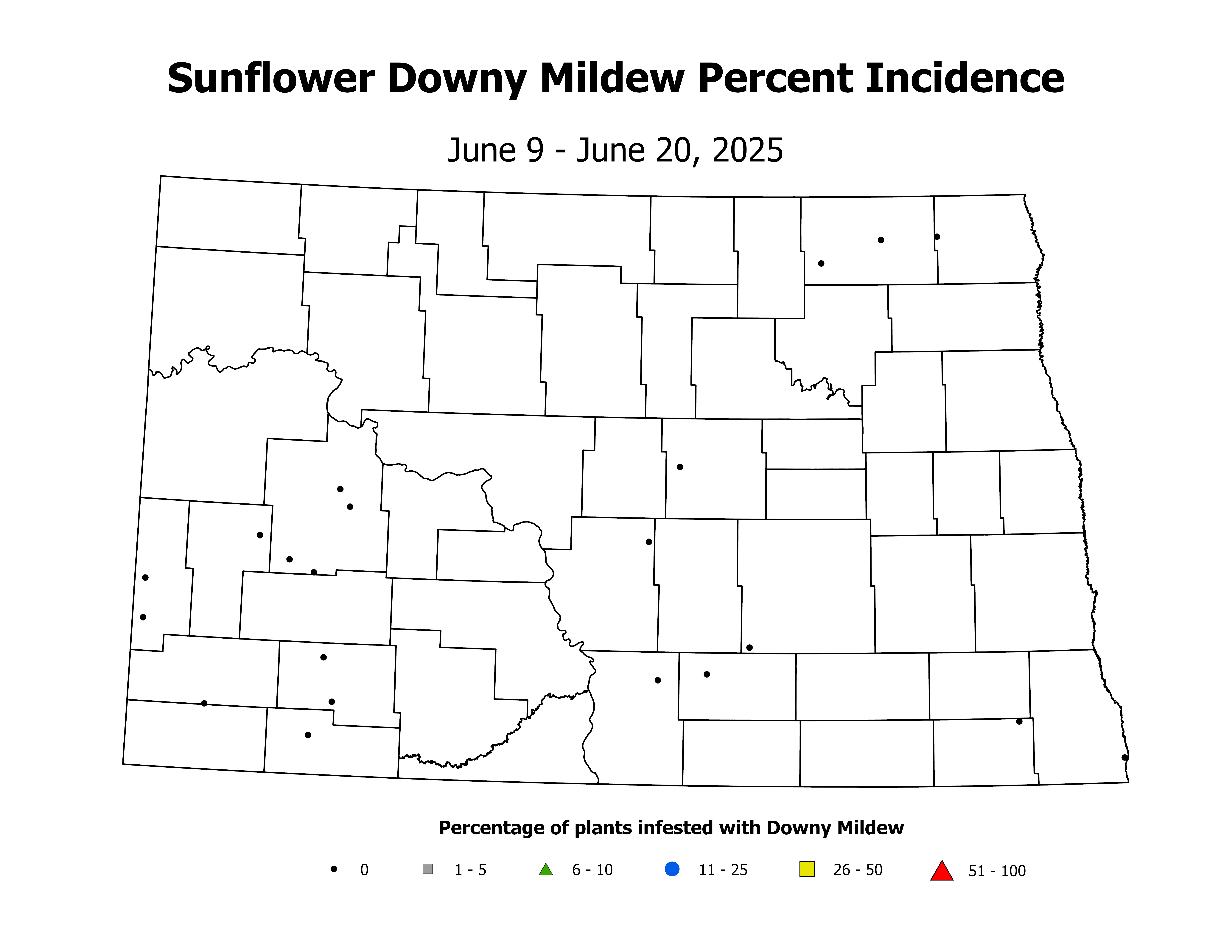 sunflower_DM_INC_2025June9ToJune20