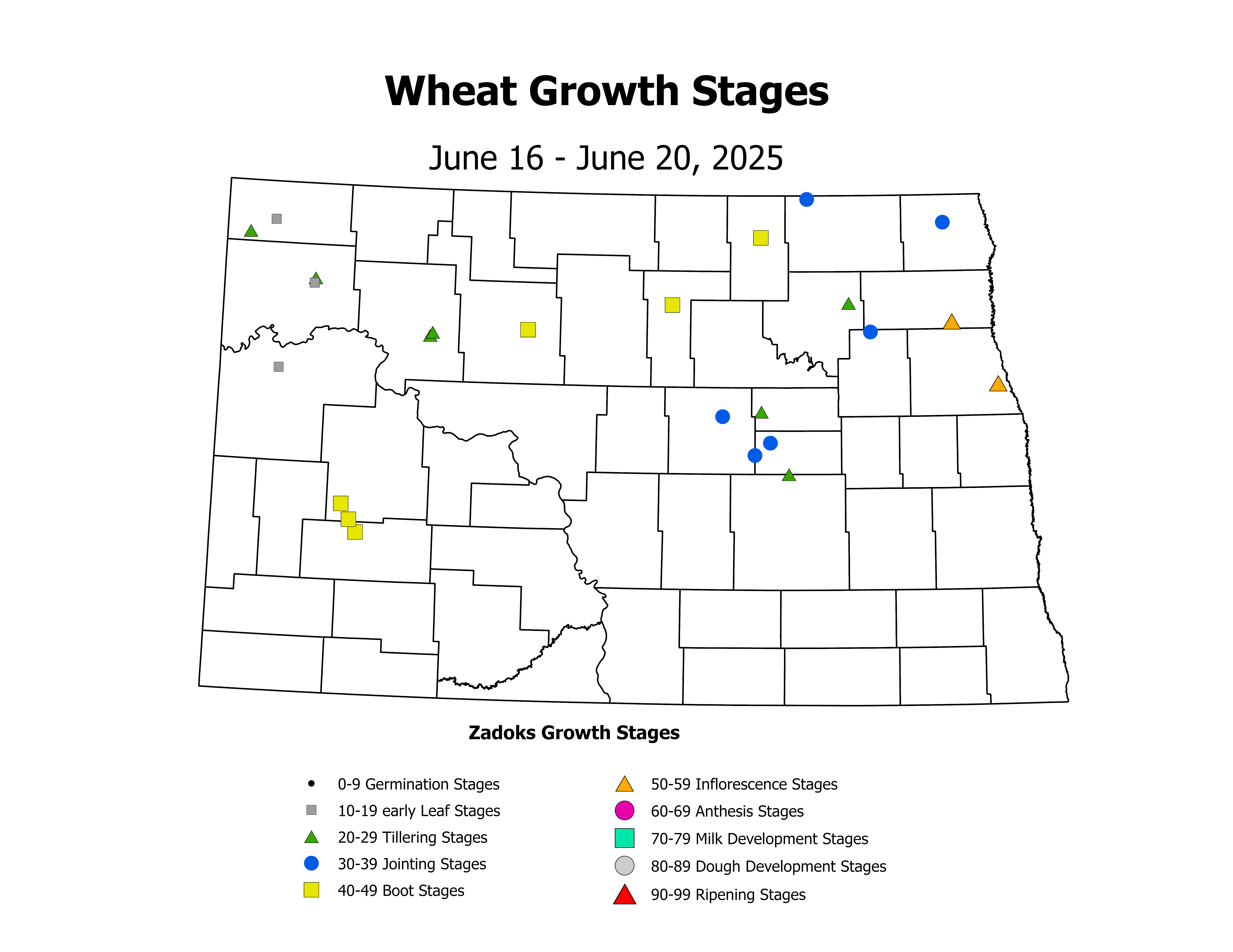 wheatInsectTrap_CropStage_2025June16ToJune20