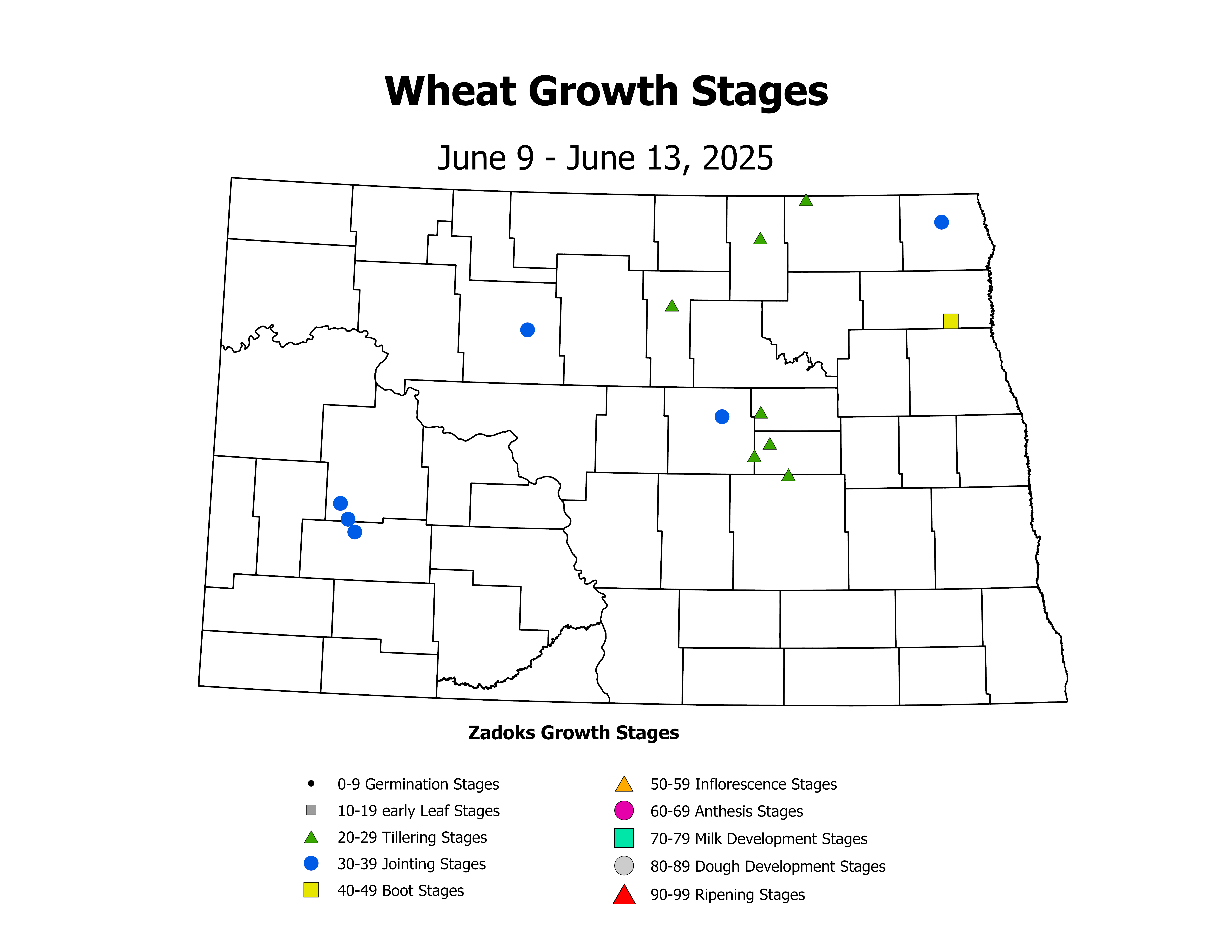 wheatInsectTrap_CropStage_2025June9ToJune13