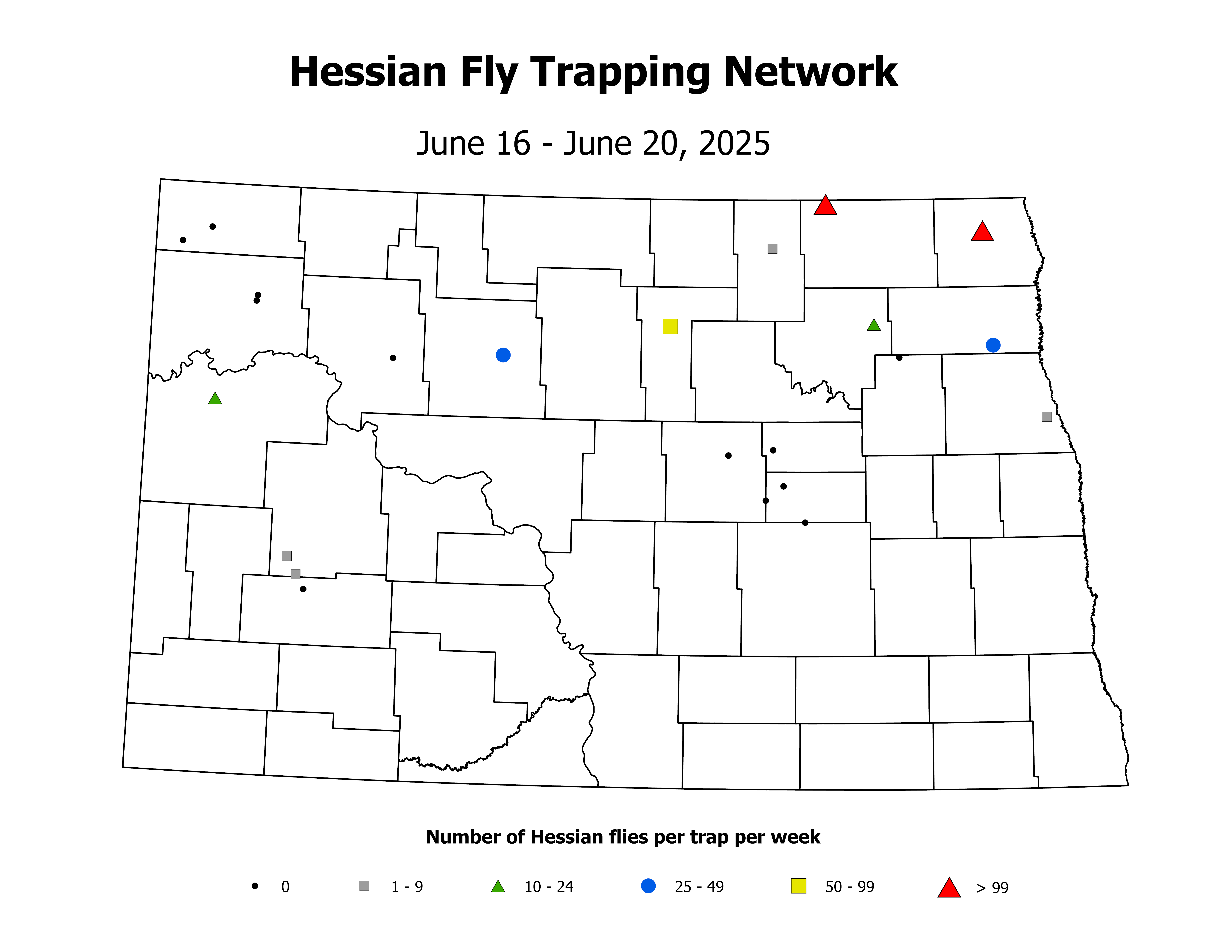 wheatInsectTrap_HF_Count_2025June16ToJune20