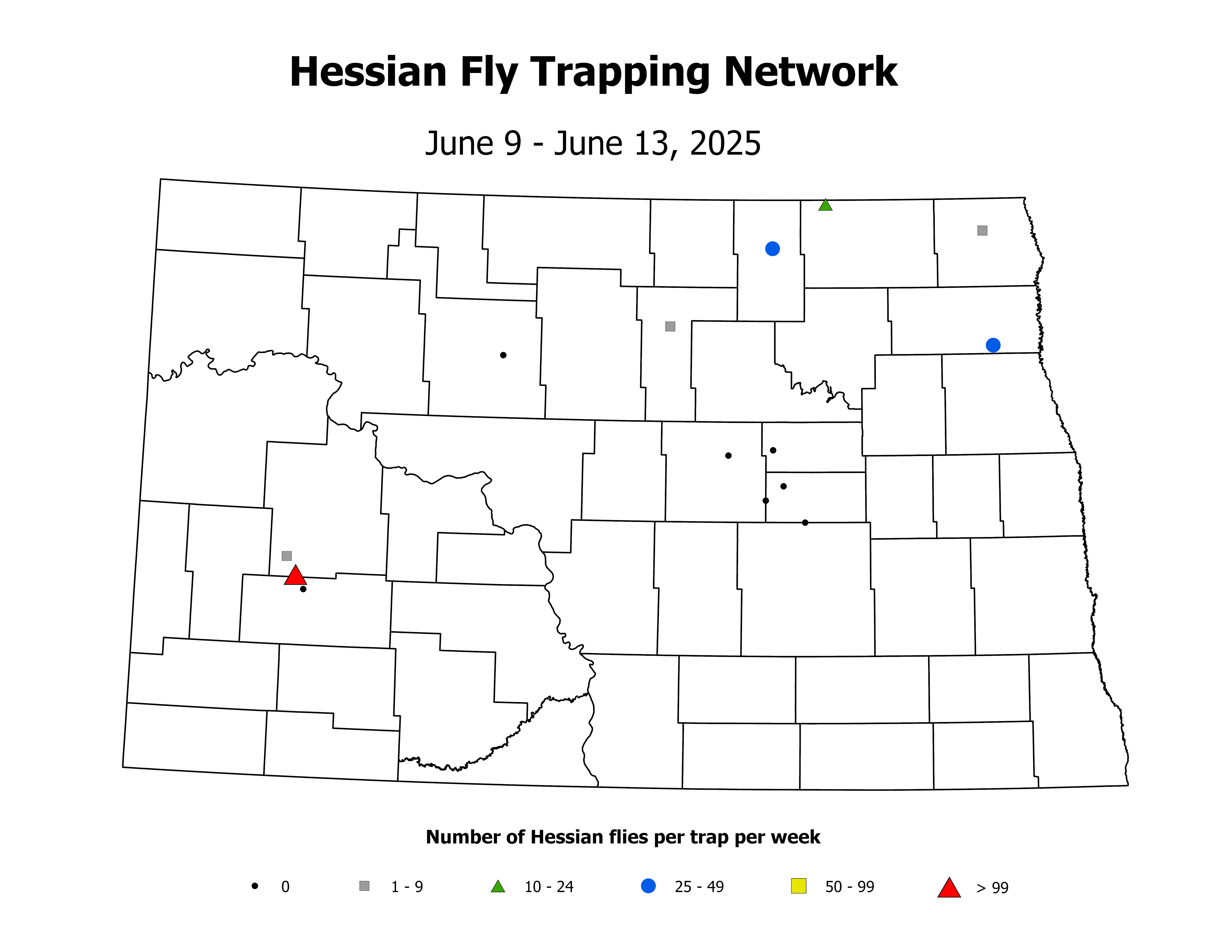 wheatInsectTrap_HF_Count_2025June9ToJune13