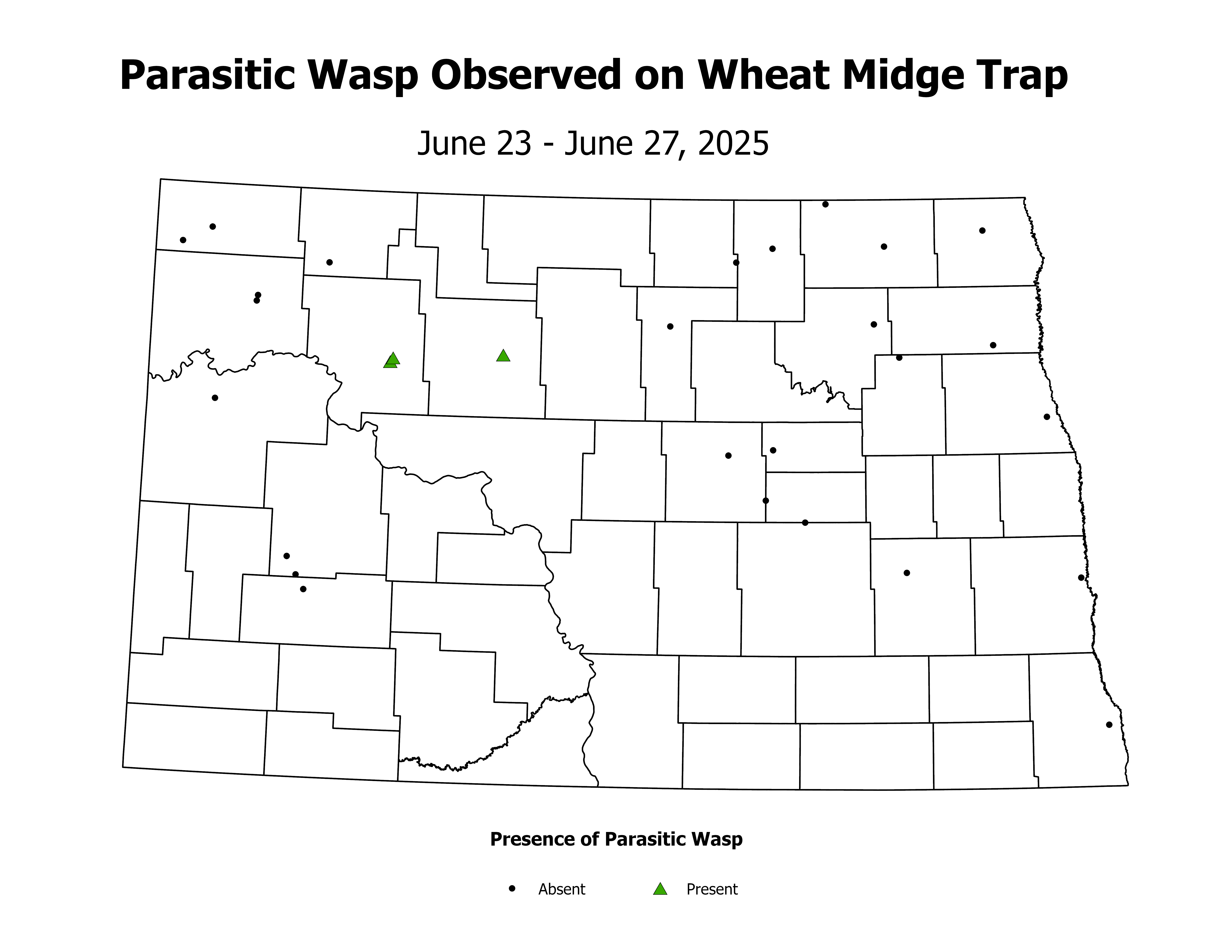 wheatInsectTrap_PARA_PRES_2025June23ToJune27