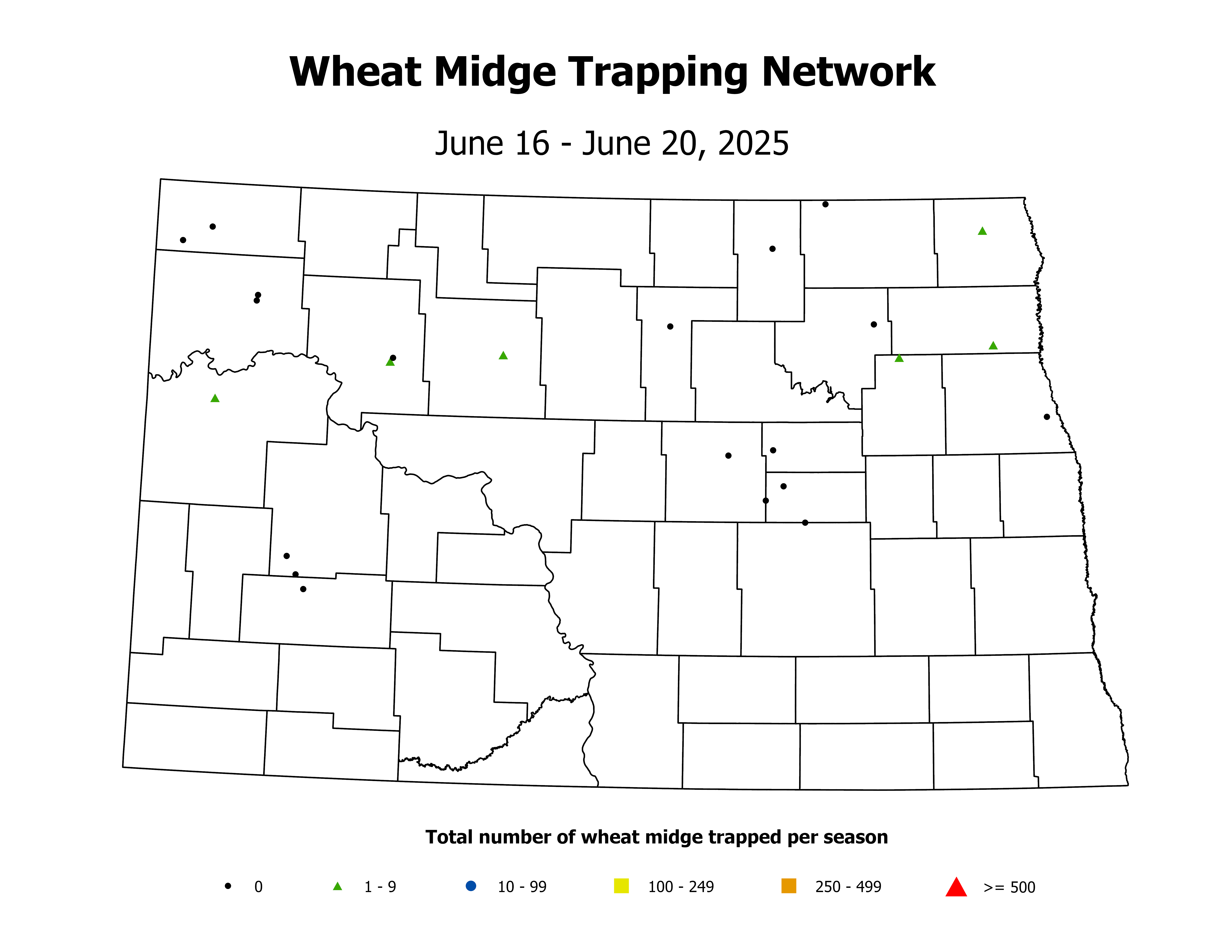wheatInsectTrap_WM_Count_2025June16ToJune20