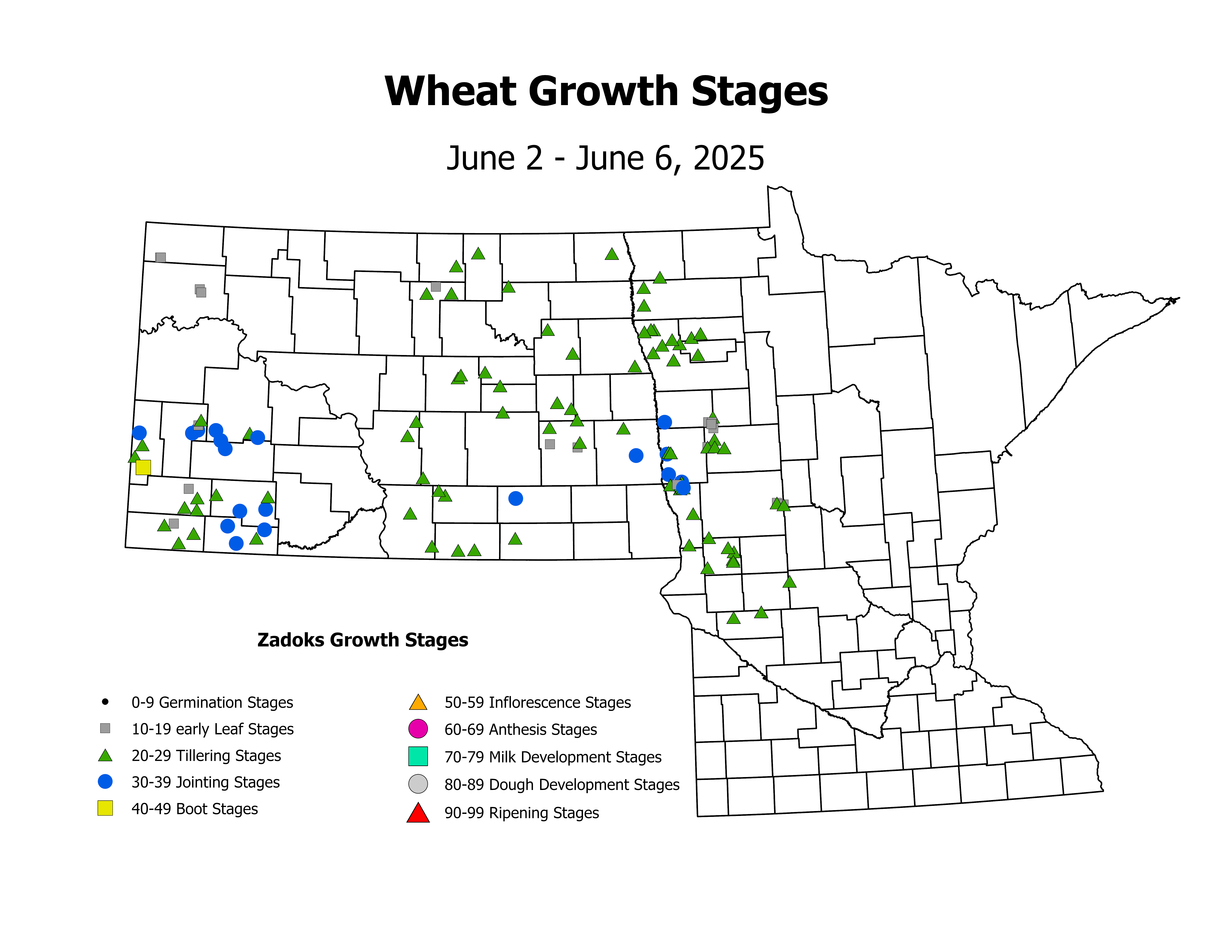 wheat_CropStage_2025June2ToJune6