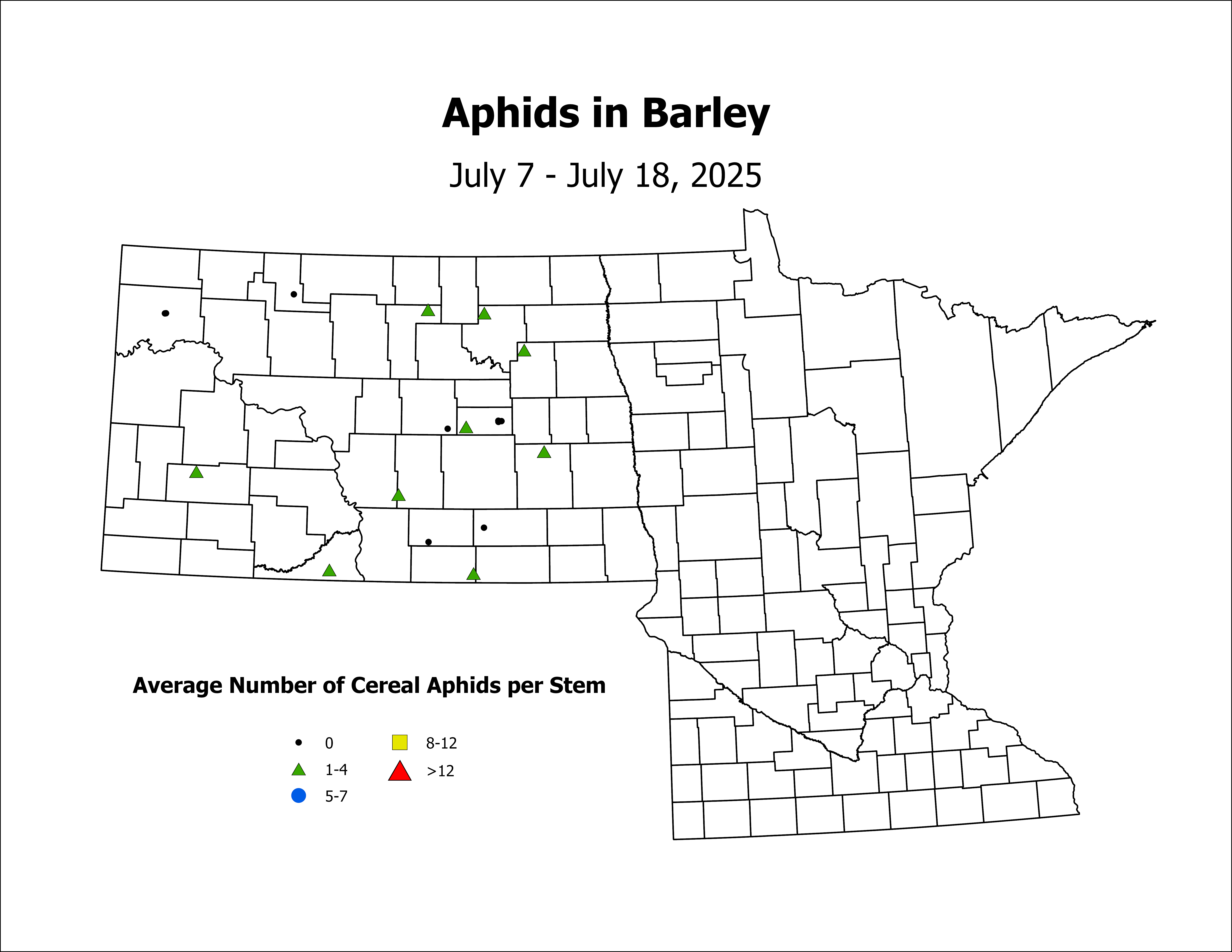 barley_Aph_Stem_2025July7ToJuly18