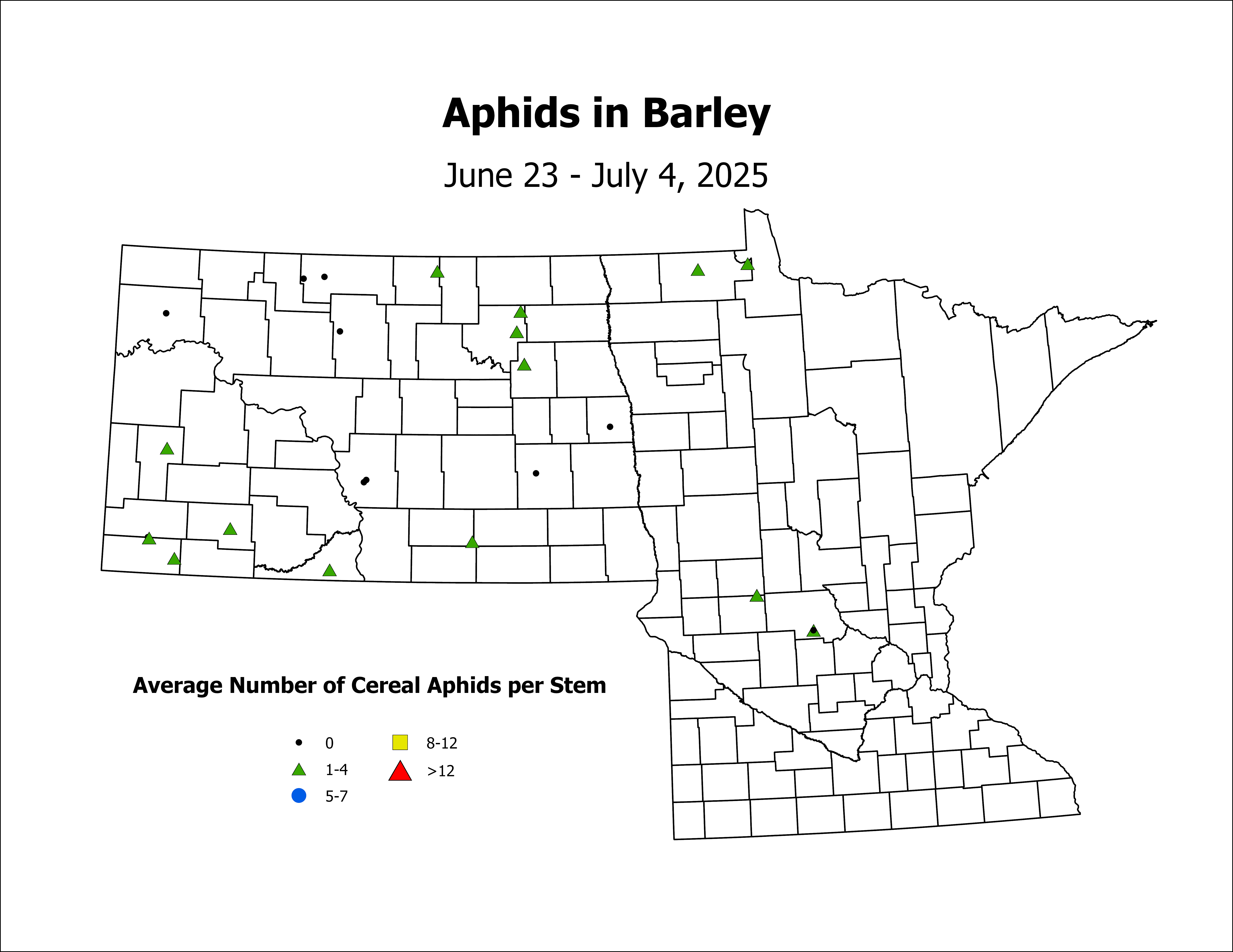 barley_Aph_Stem_2025June23ToJuly4