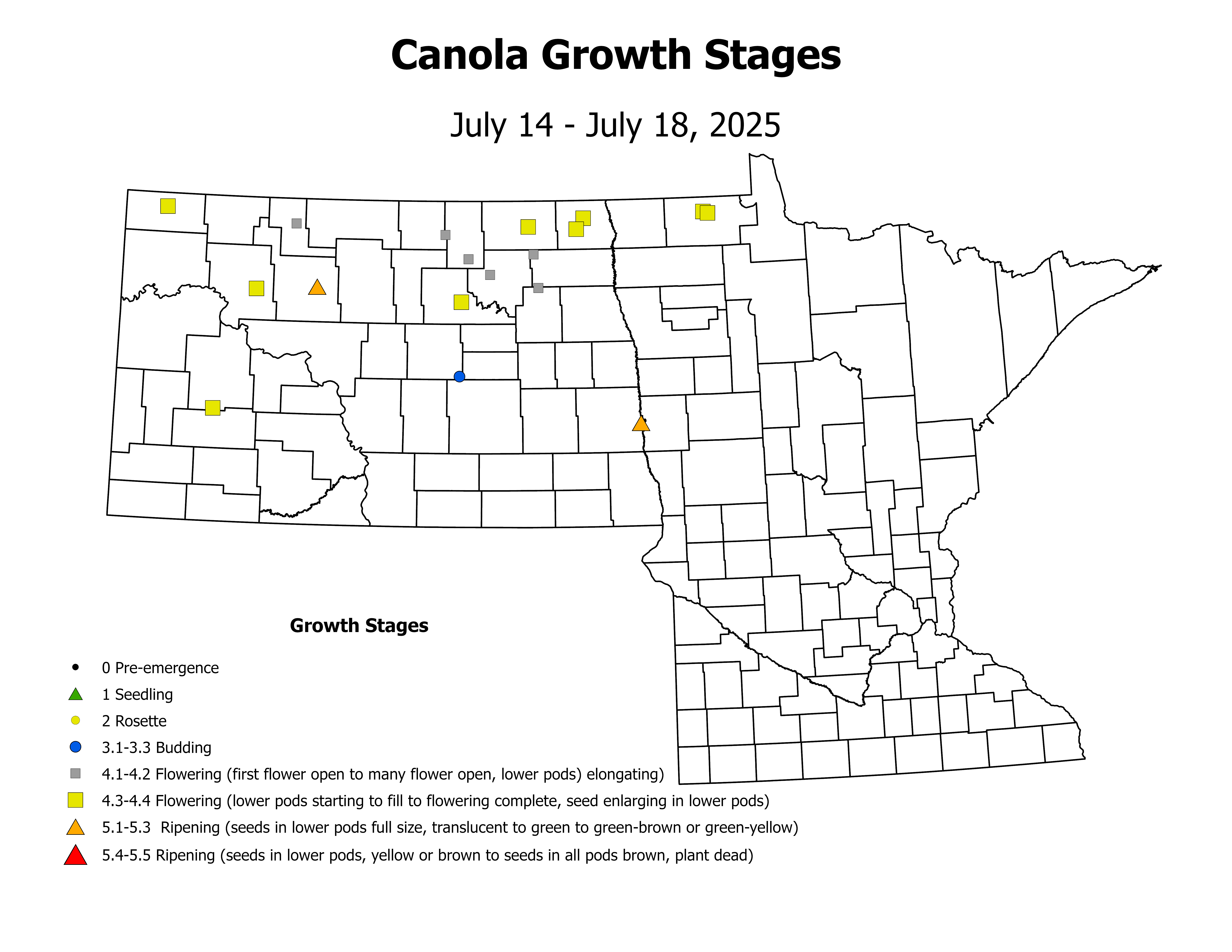 canolaInsectTrap_CropStage_2025July14ToJuly18
