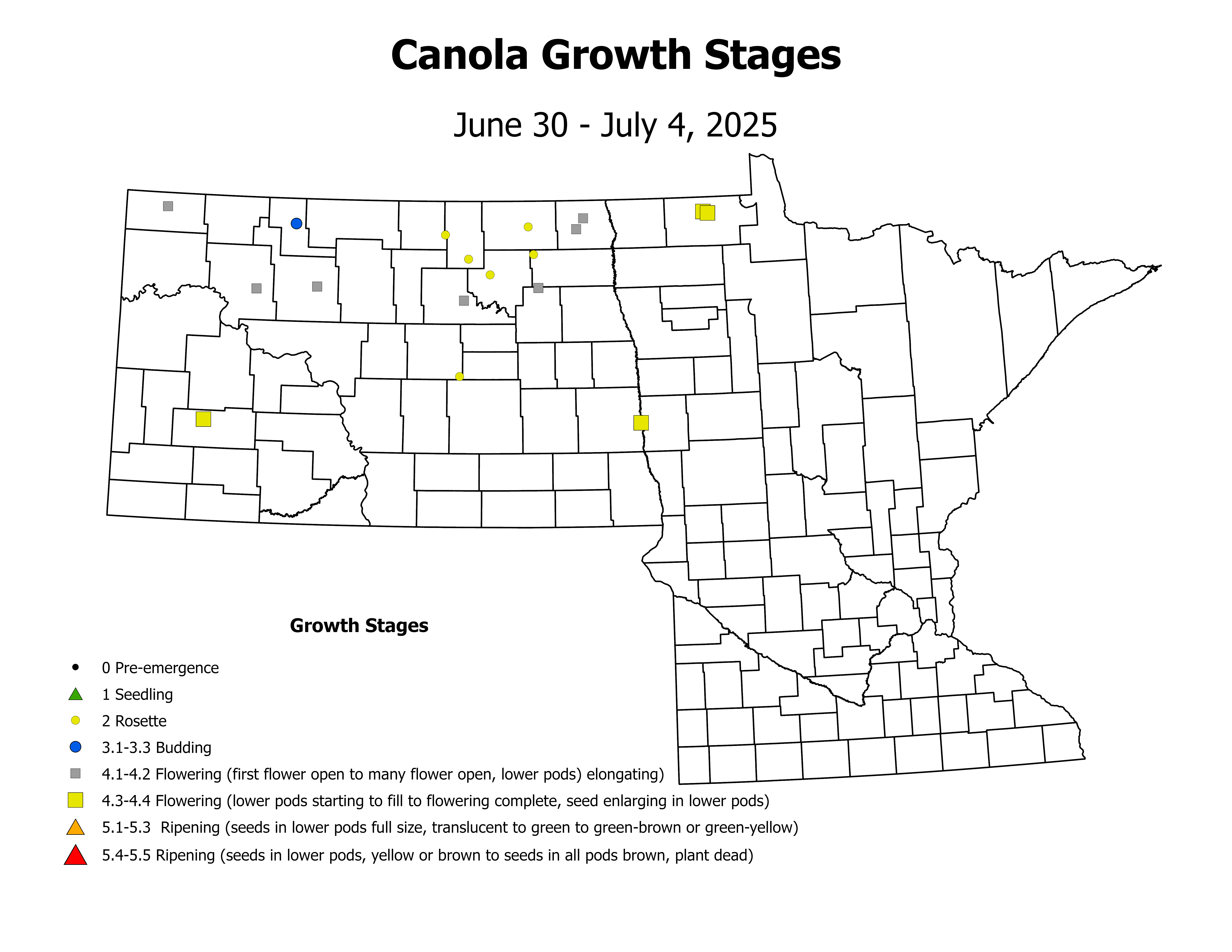 canolaInsectTrap_CropStage_2025June30ToJuly4