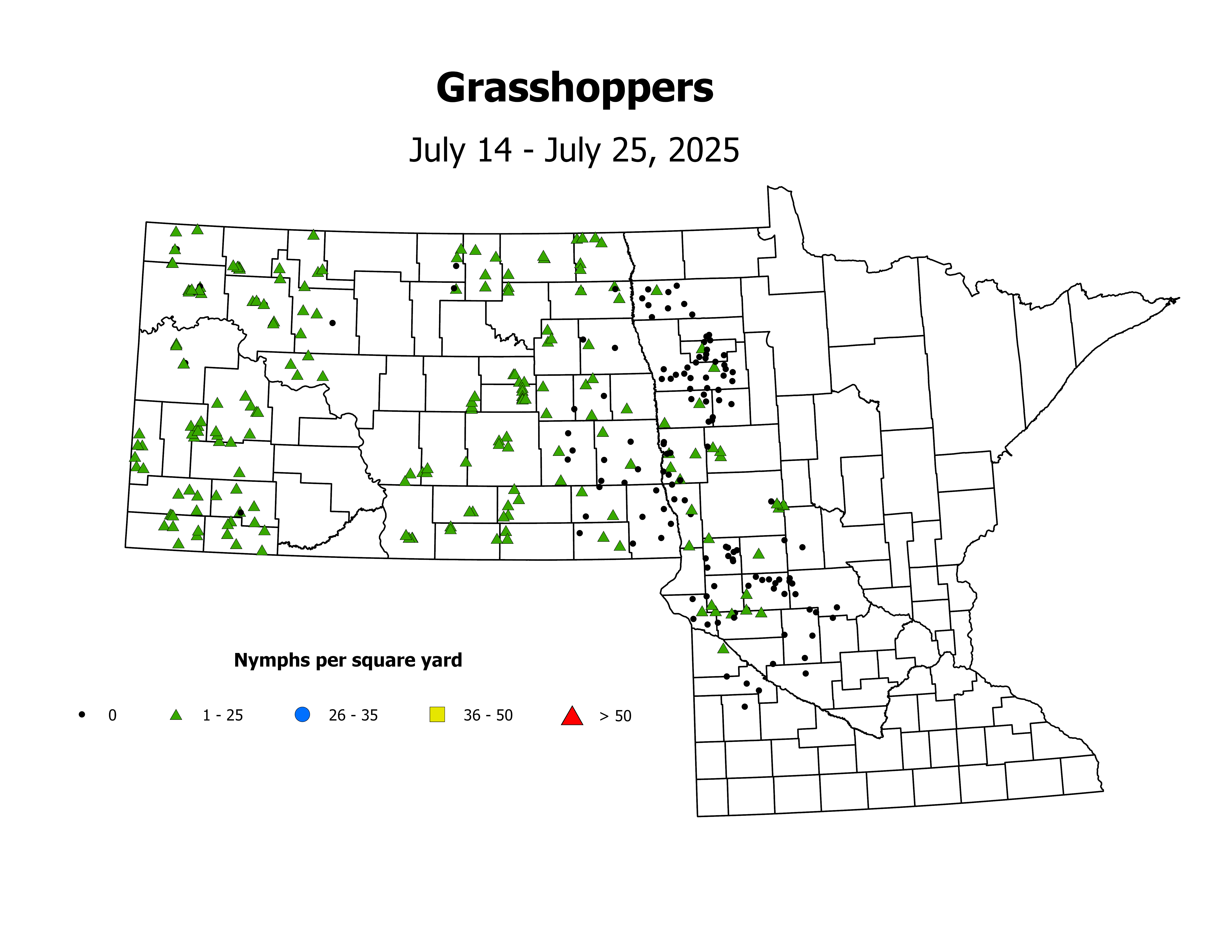 grasshopper_Nymph_sqyd_2025July14ToJuly25