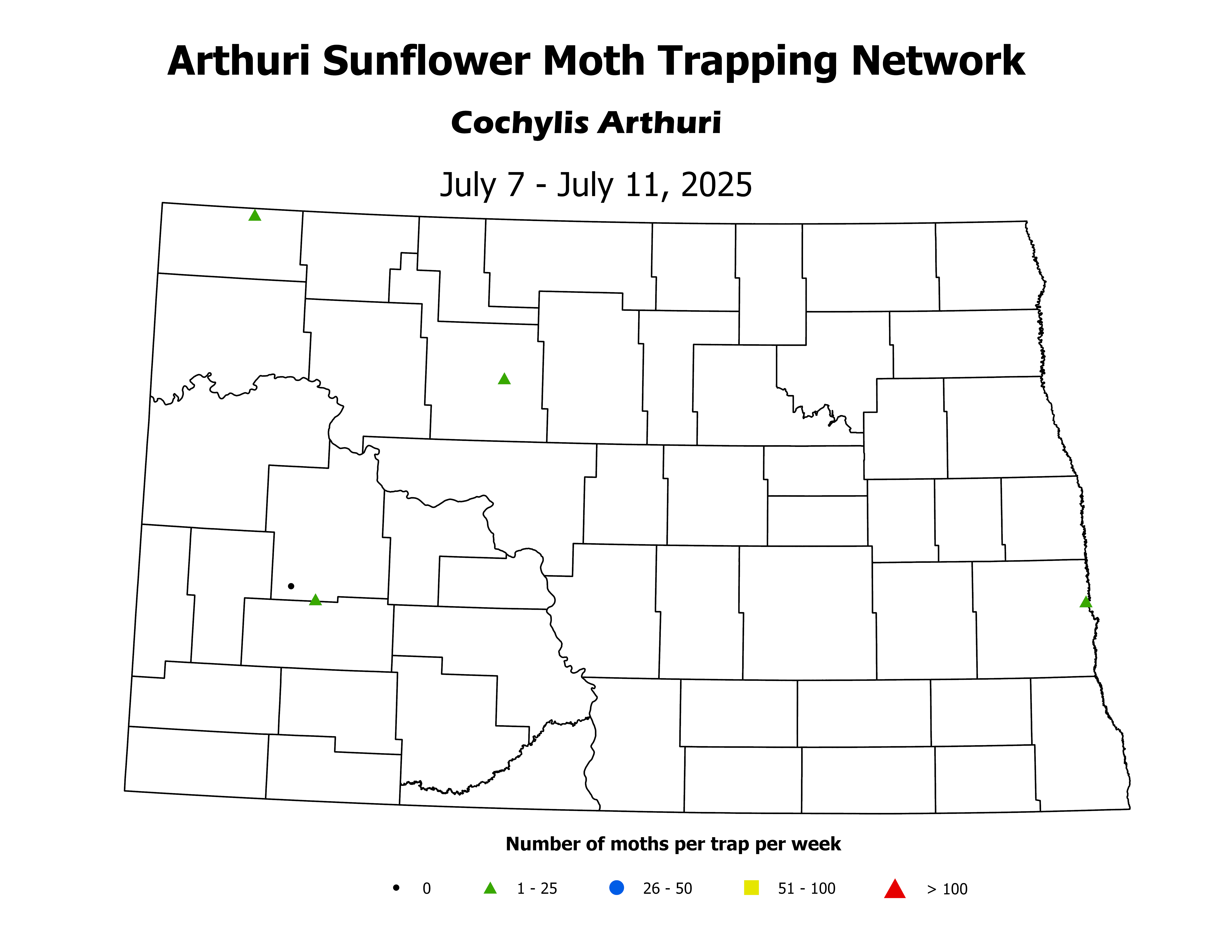 sunflowerInsectTrap_ASM_Count_2025July7ToJuly11