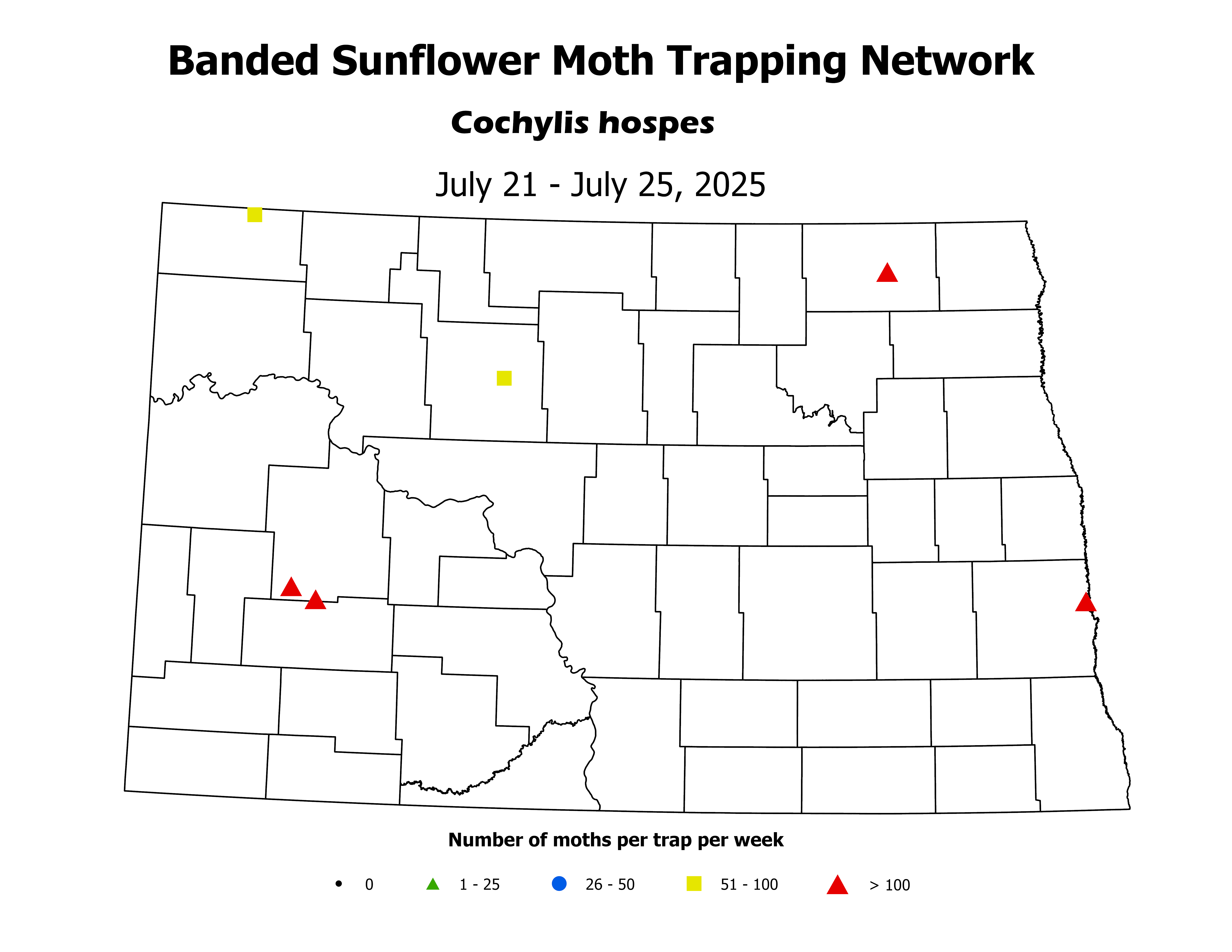 sunflowerInsectTrap_BSM_Count_2025July21ToJuly25