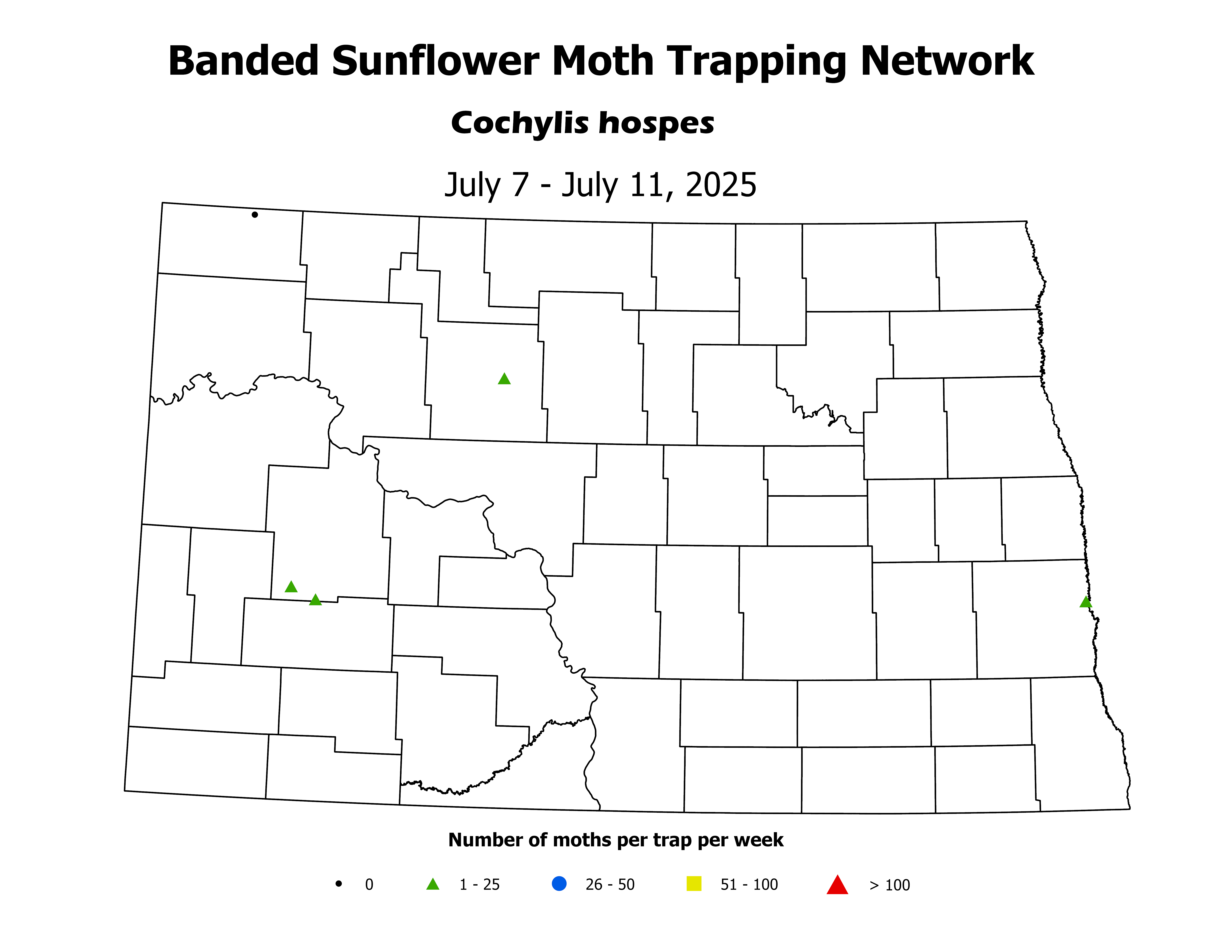sunflowerInsectTrap_BSM_Count_2025July7ToJuly11