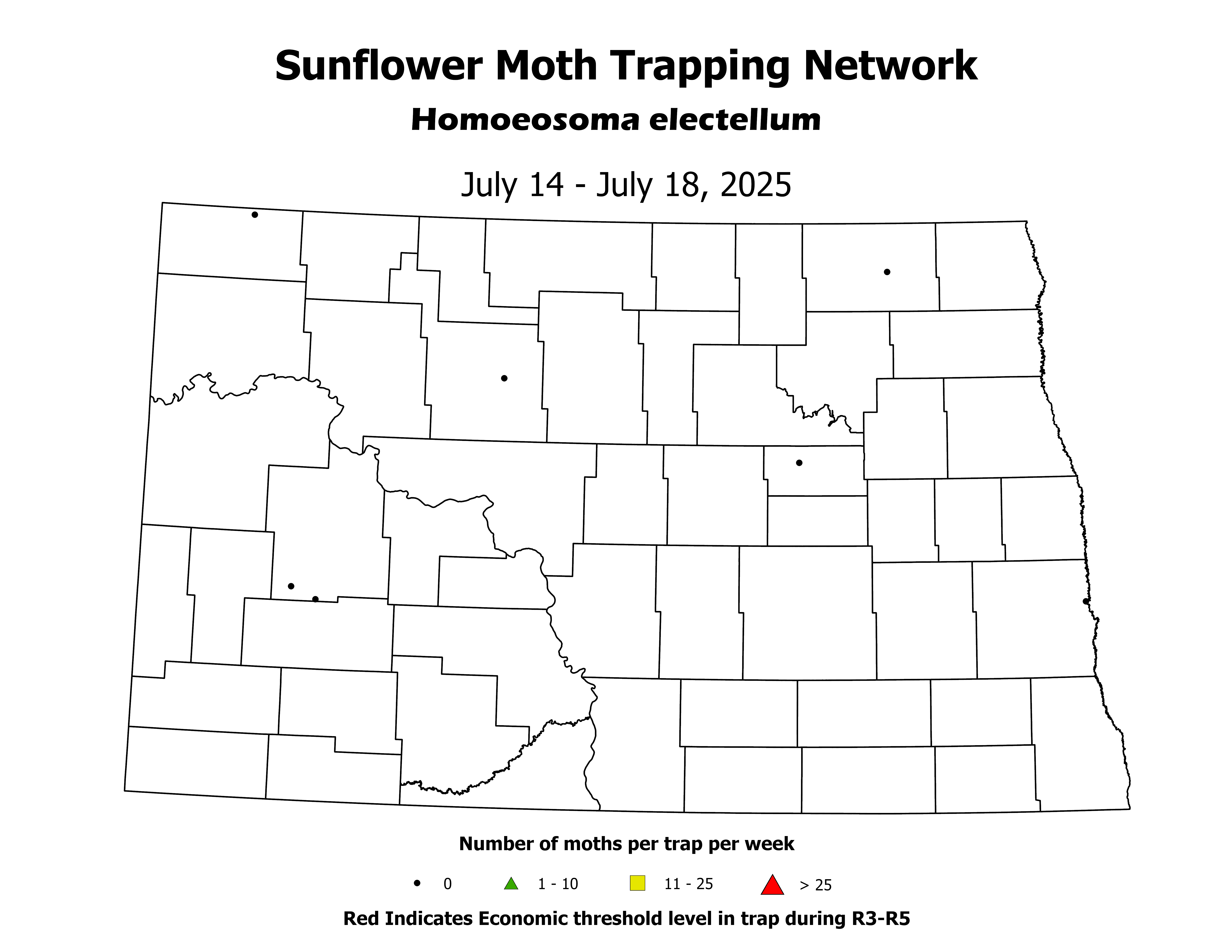 sunflowerInsectTrap_SM_Count_2025July14ToJuly18