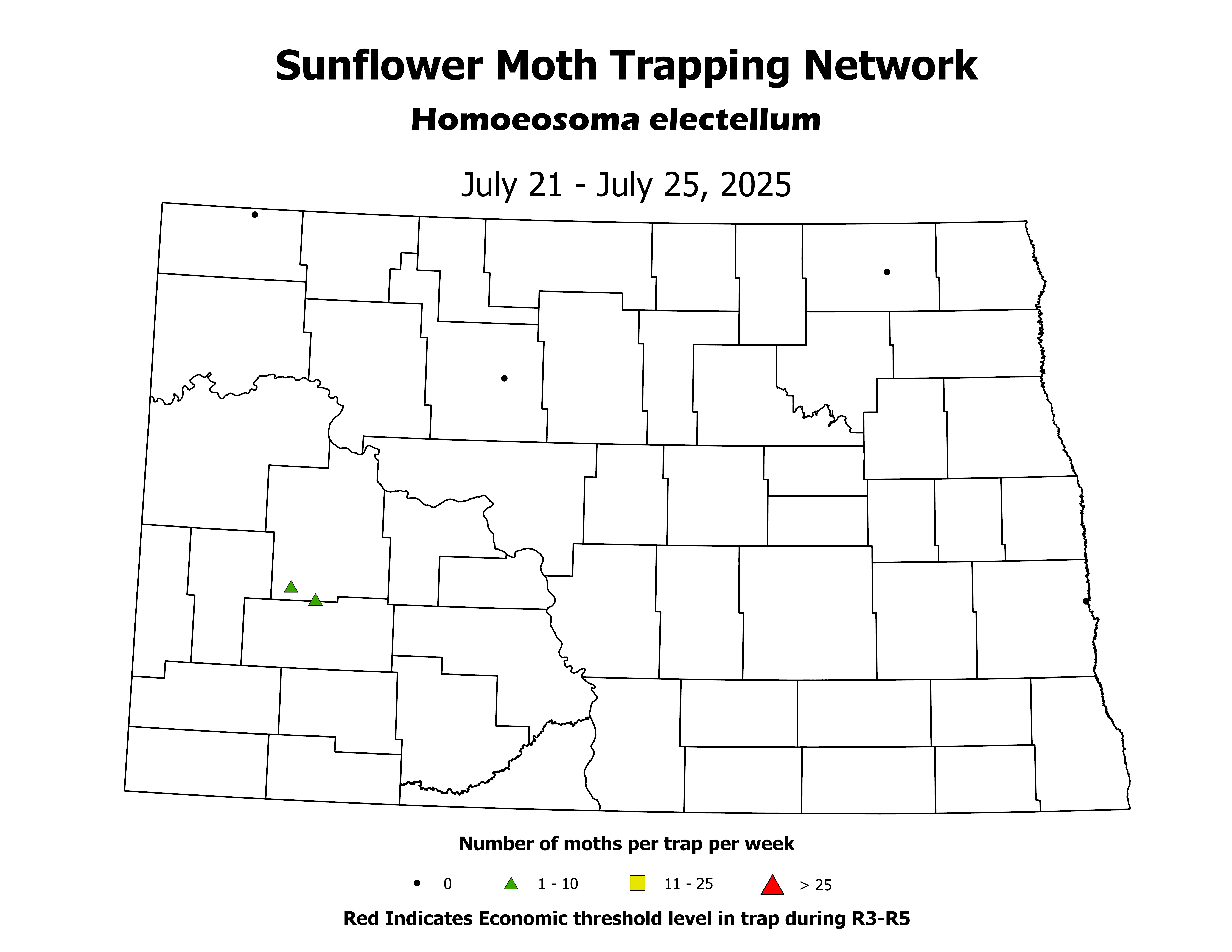 sunflowerInsectTrap_SM_Count_2025July21ToJuly25