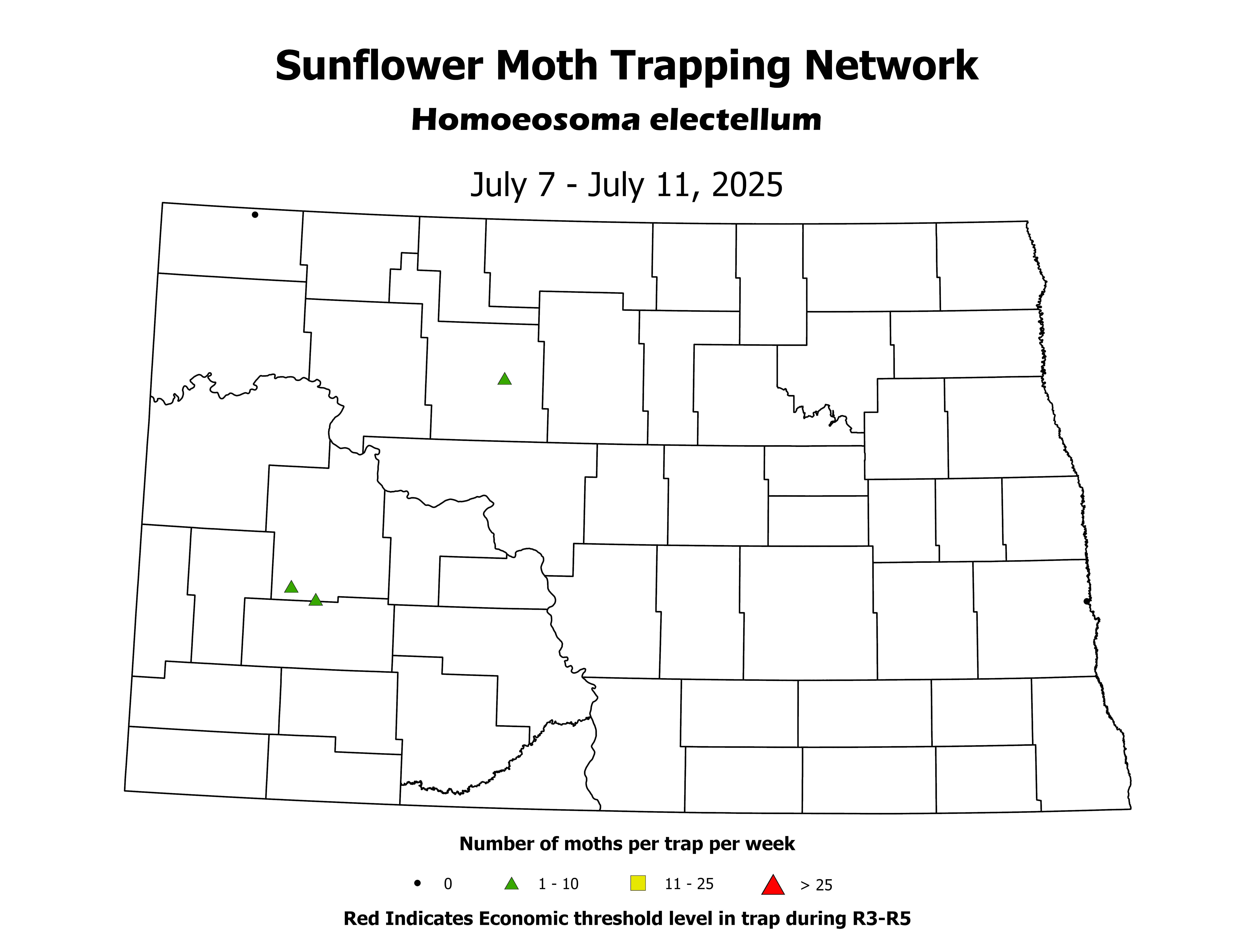 sunflowerInsectTrap_SM_Count_2025July7ToJuly11