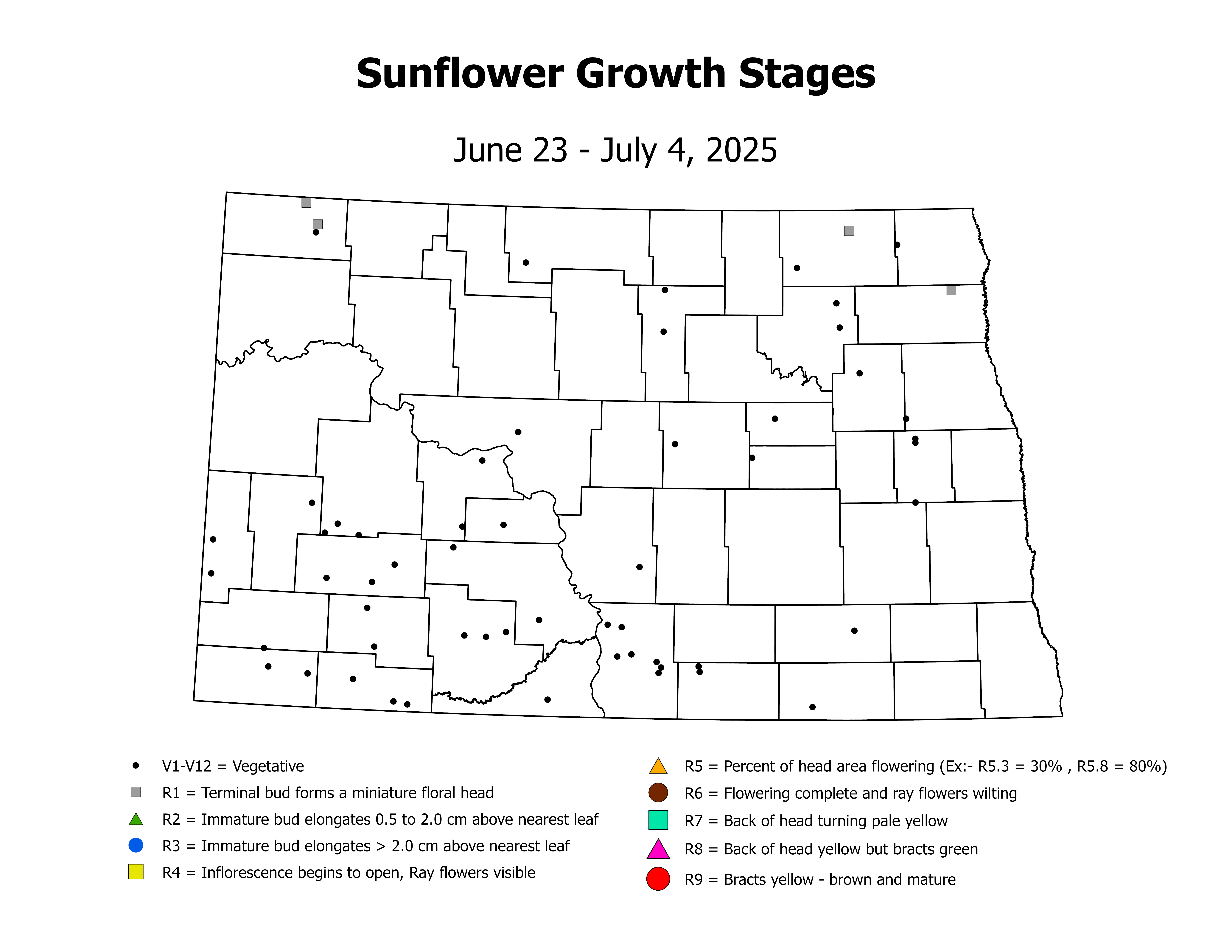 sunflower_CropStage_2025June23ToJuly4