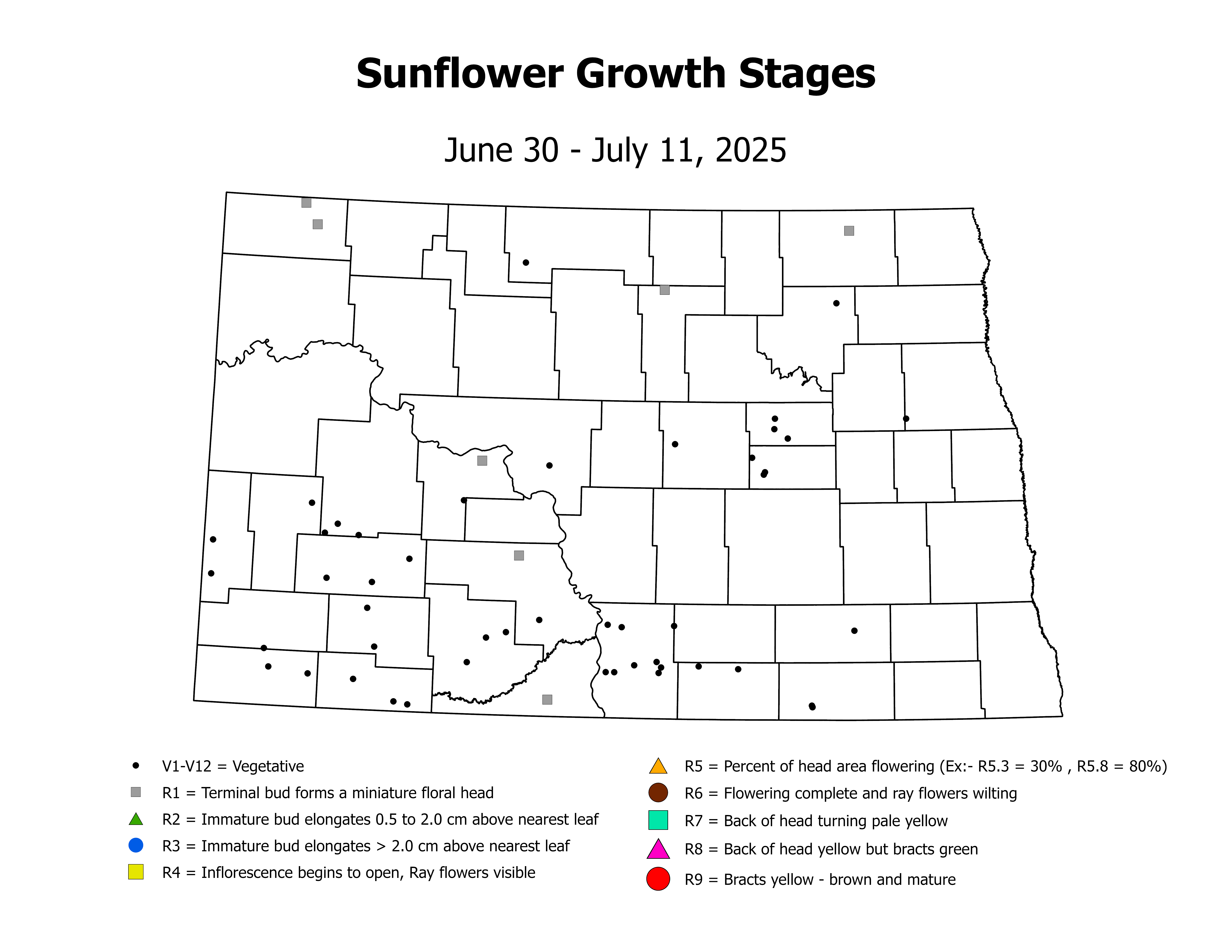 sunflower_CropStage_2025June30ToJuly11