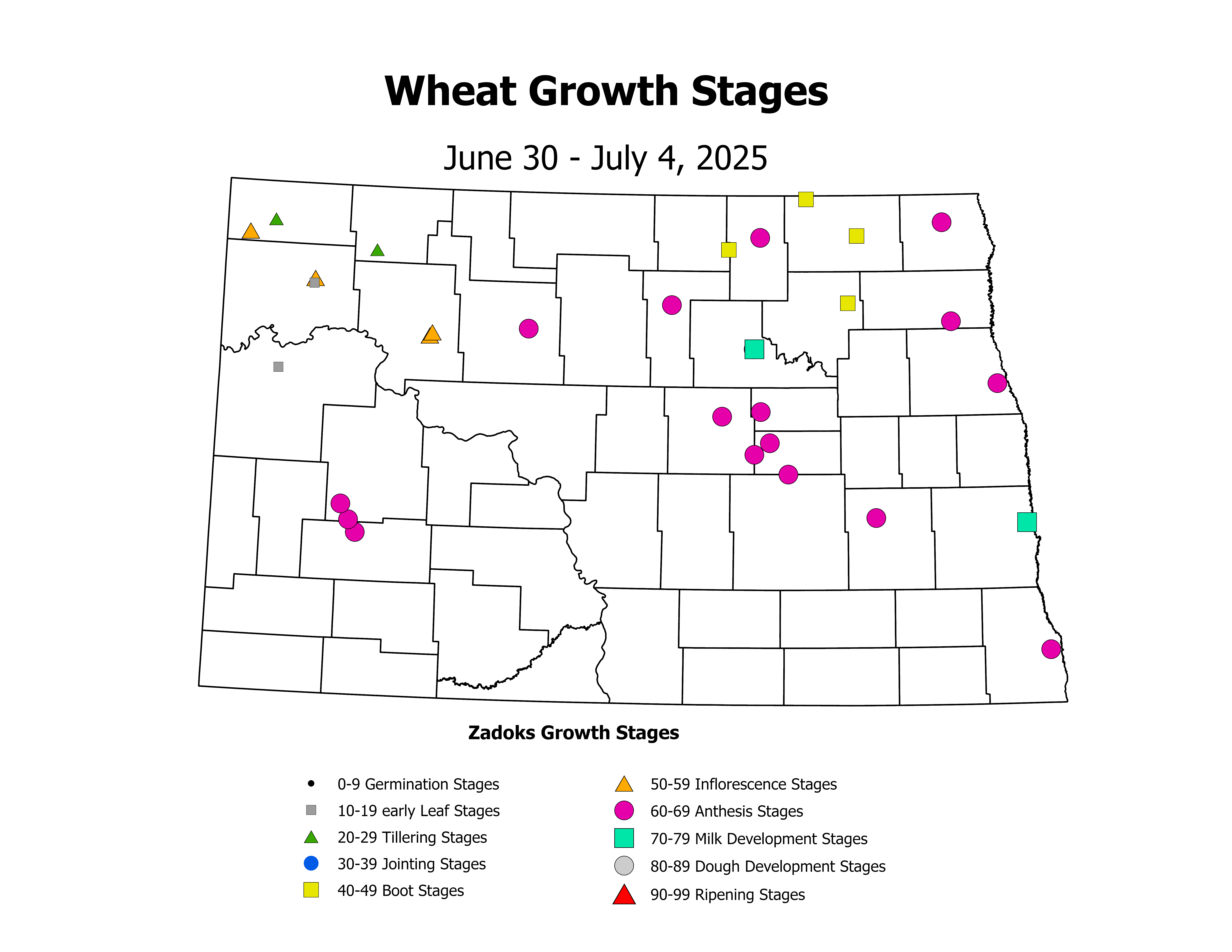 wheatInsectTrap_CropStage_2025June30ToJuly4