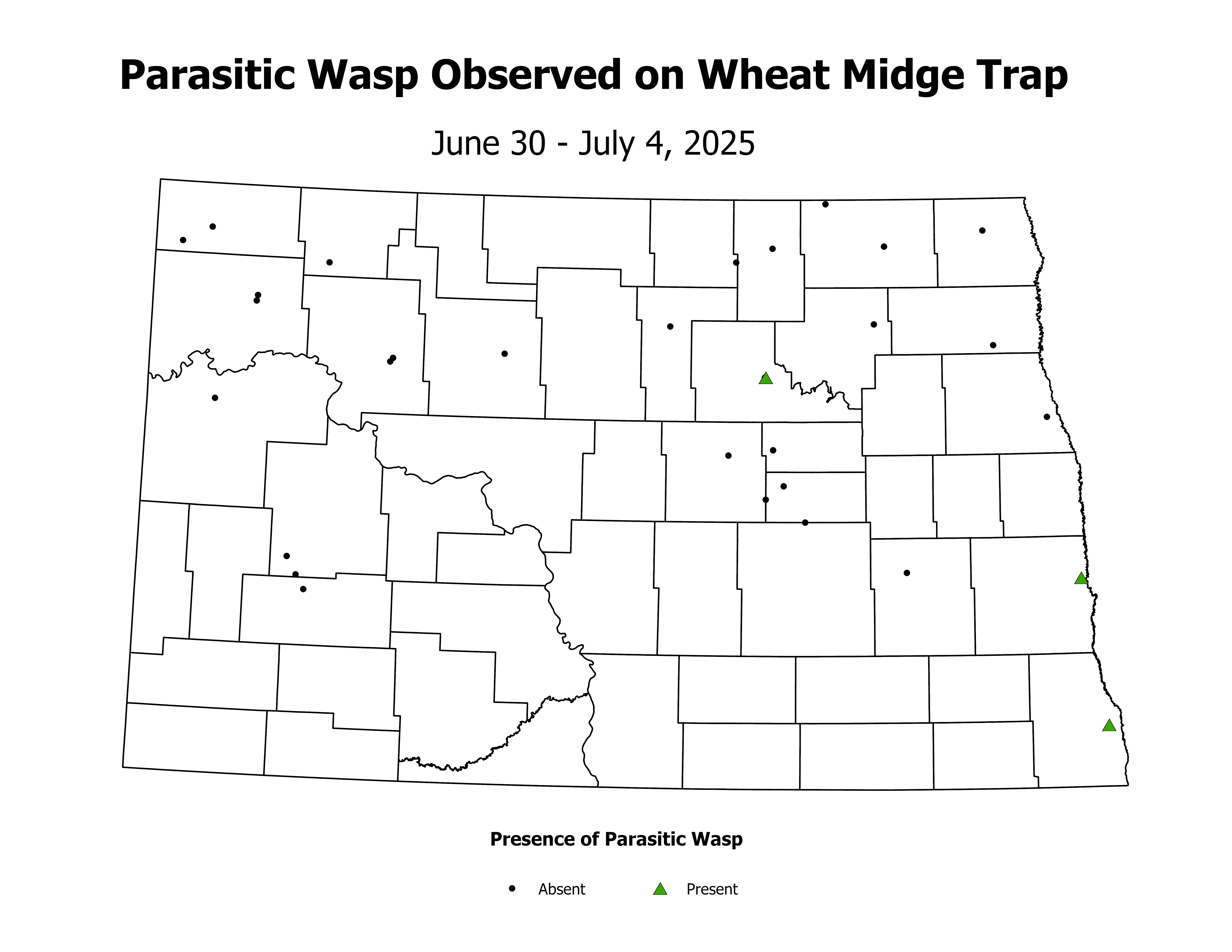 wheatInsectTrap_PARA_PRES_2025June30ToJuly4