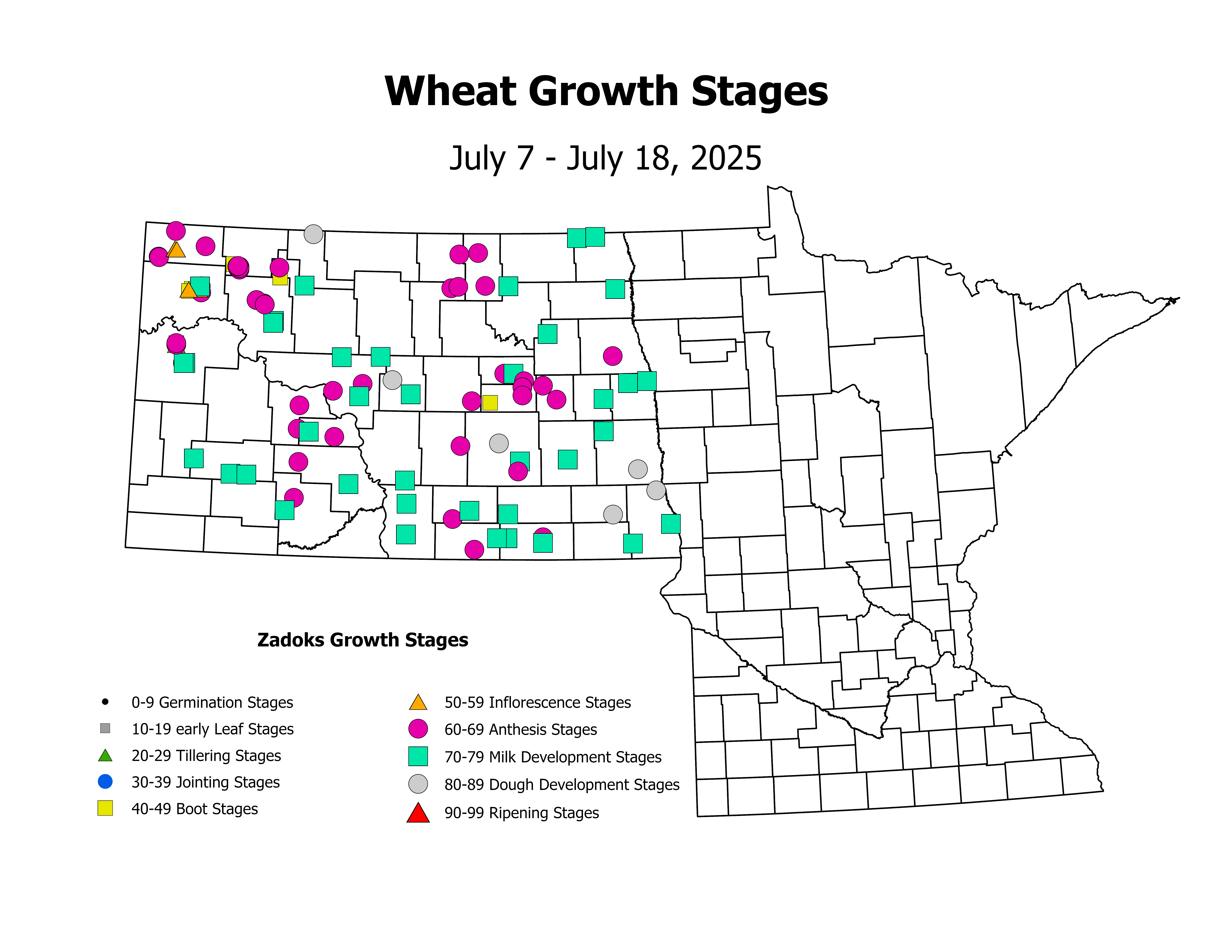 wheat_CropStage_2025July7ToJuly18