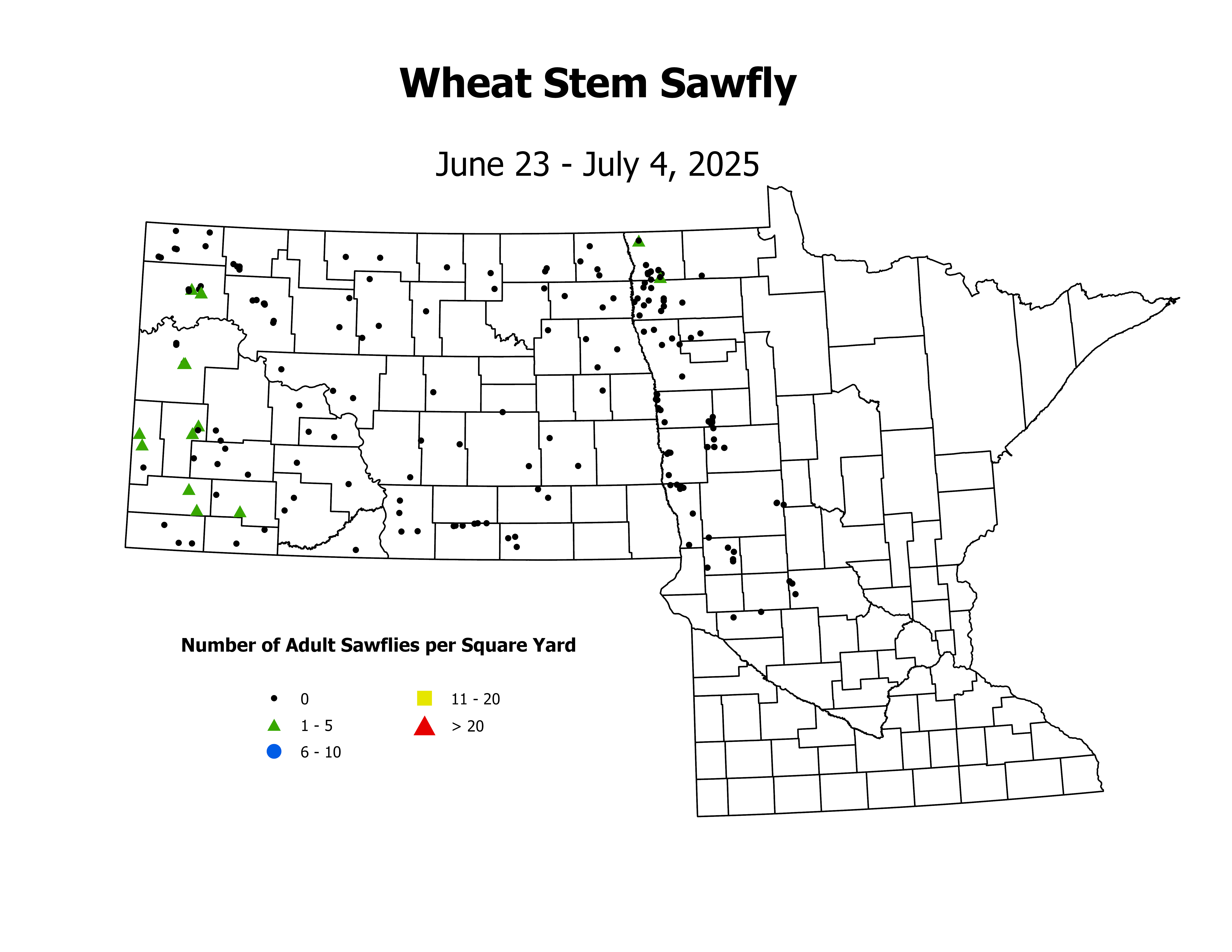 wheat_WSSF_sqyd_2025June23ToJuly4