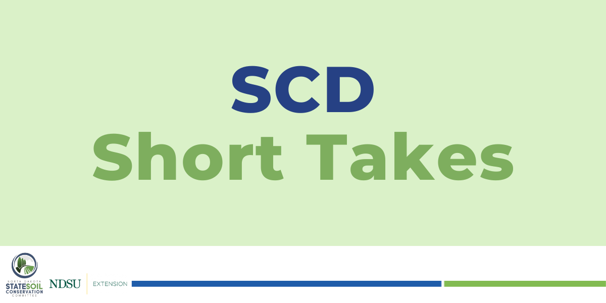 A banner with SCD Short Takes text in blue and green, with a light green background, the SSCC logo and 线上赌博app Extension logo along the bottom and a blue and green line to the right of the two logos.