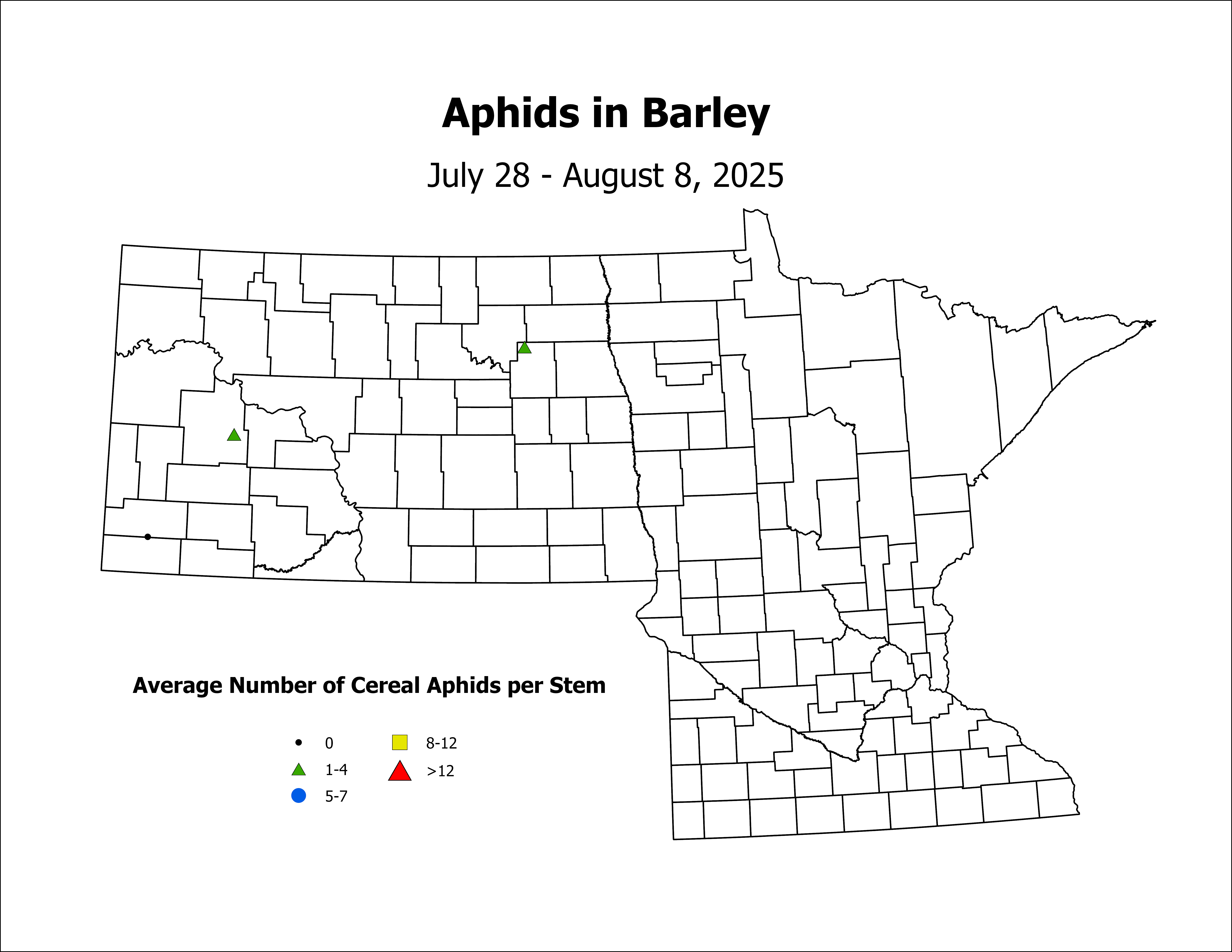 barley_Aph_Stem_2025July28ToAugust8