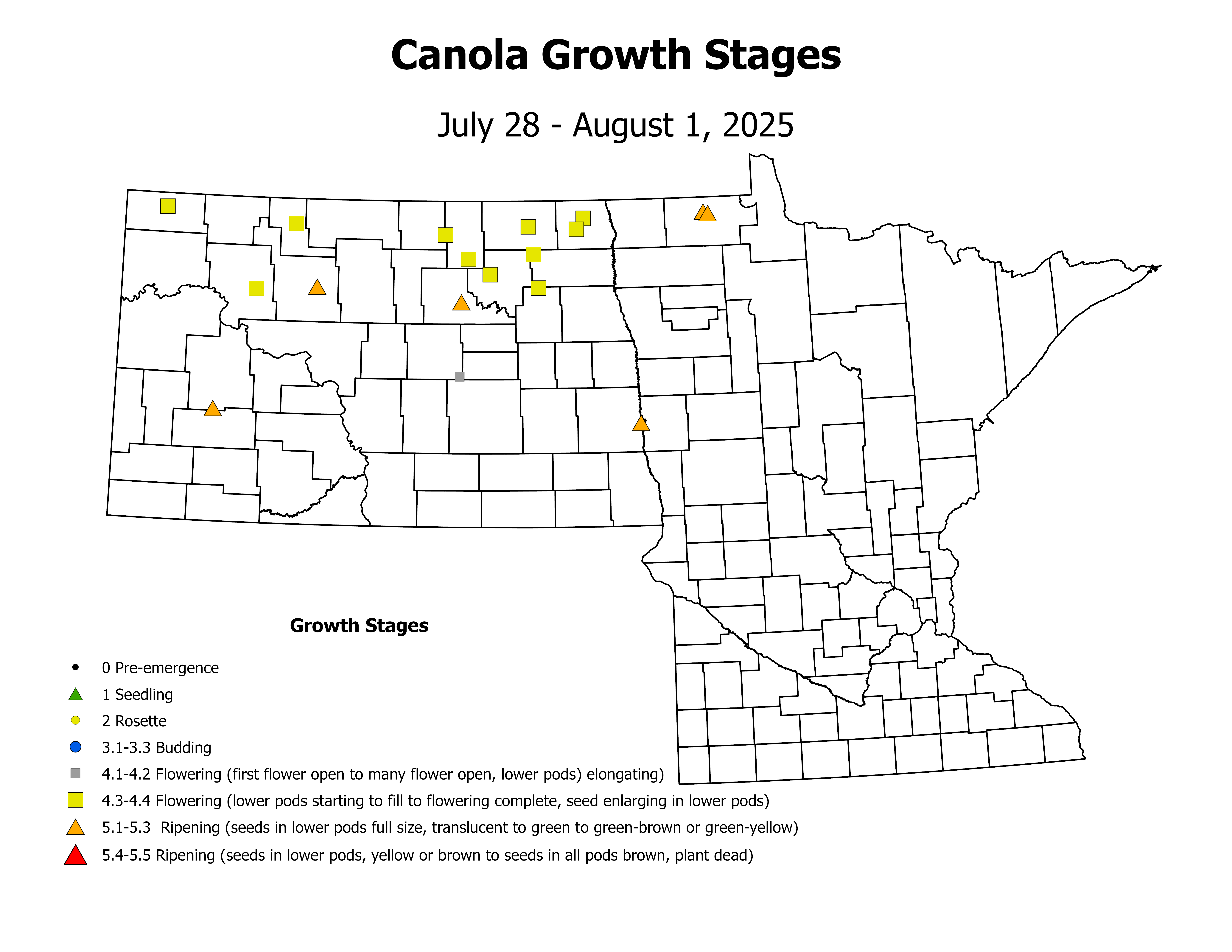 canolaInsectTrap_CropStage_2025July28ToAugust1
