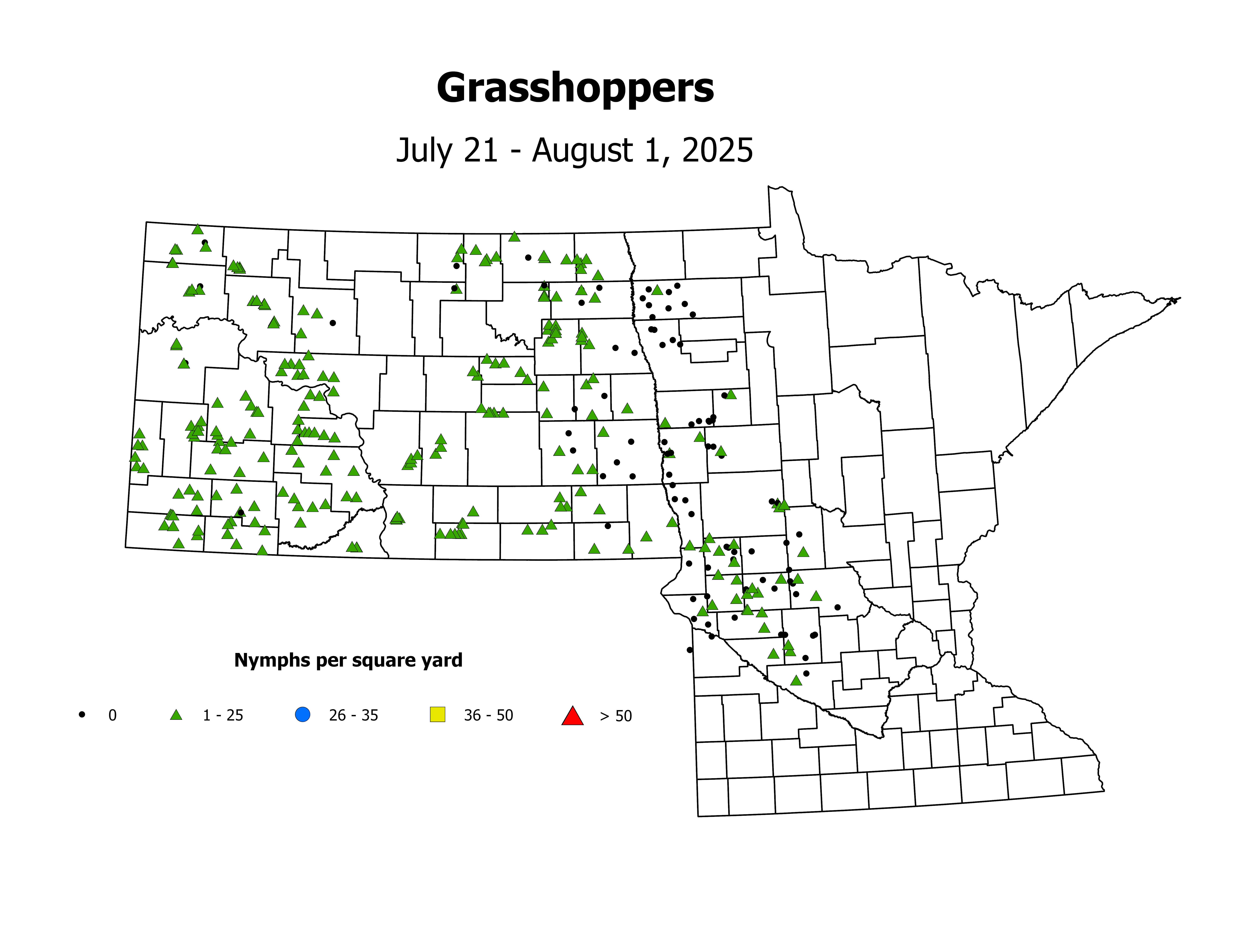 grasshopper_Nymph_sqyd_2025July21ToAugust1