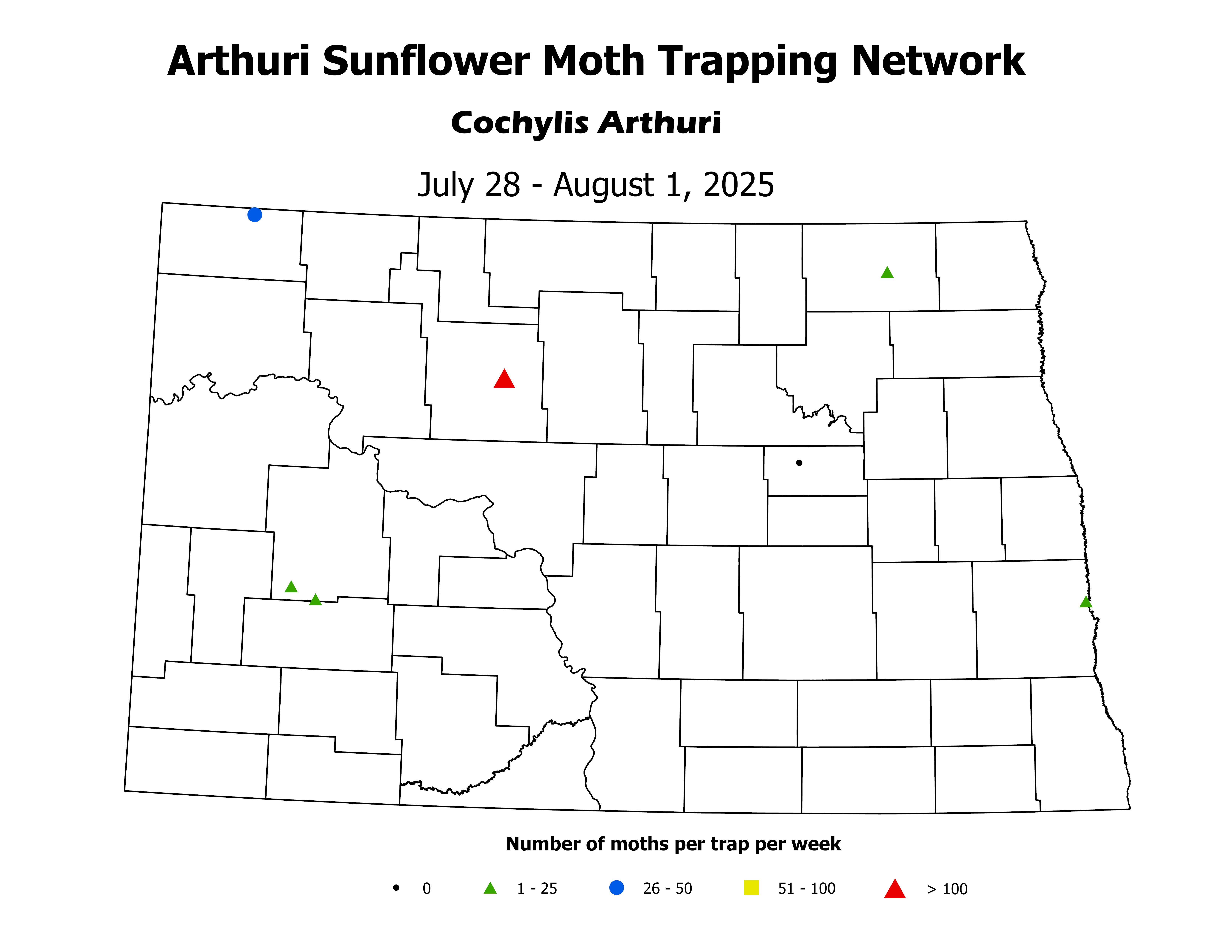 sunflowerInsectTrap_ASM_Count_2025July28ToAugust1