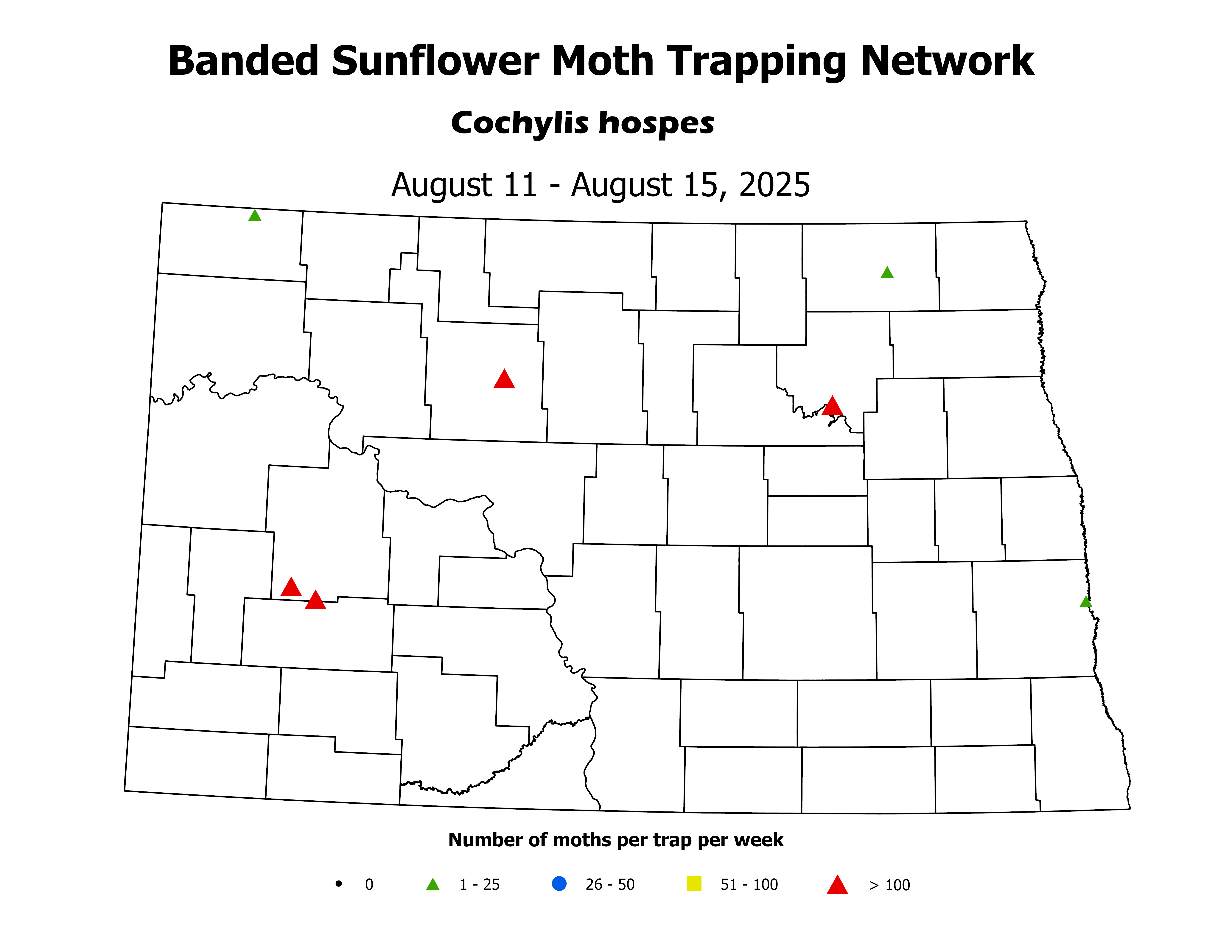 sunflowerInsectTrap_BSM_Count_2025August11ToAugust15