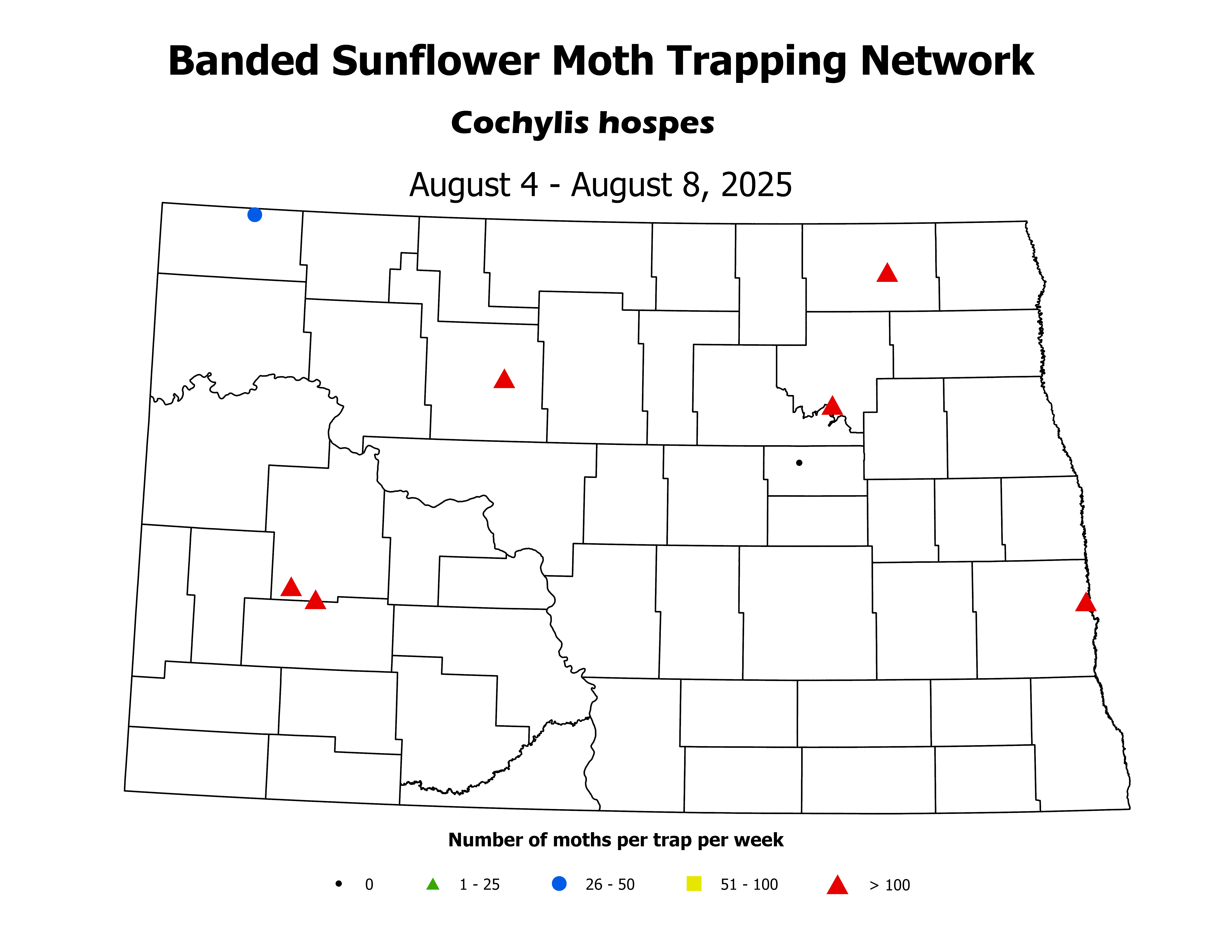 sunflowerInsectTrap_BSM_Count_2025August4ToAugust8