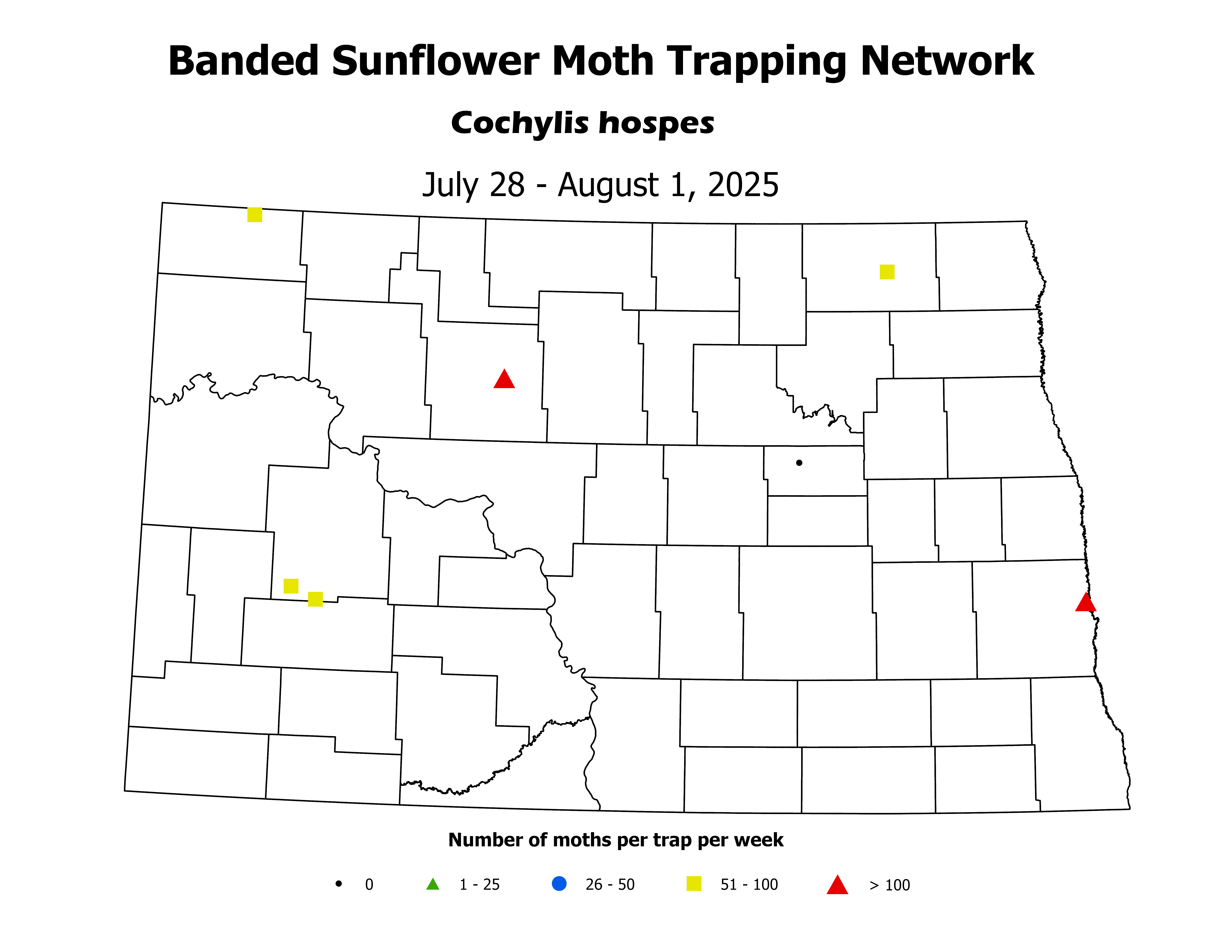 sunflowerInsectTrap_BSM_Count_2025July28ToAugust1