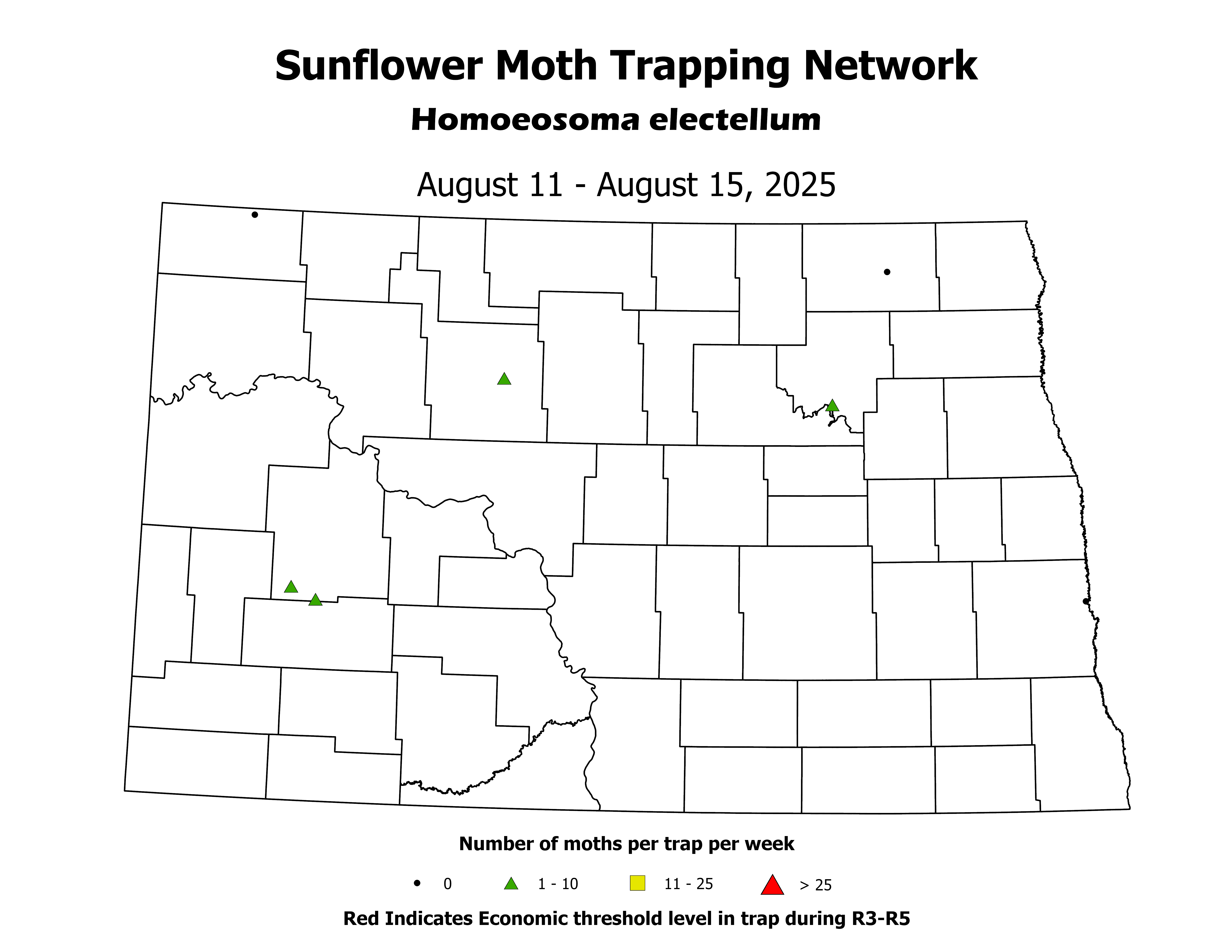sunflowerInsectTrap_SM_Count_2025August11ToAugust15